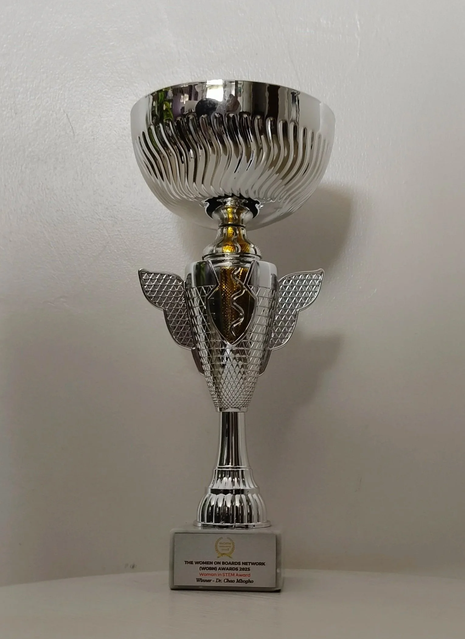 Trophy of Women in Stem Award by Women on Boards Network with Dr Chao Mbogho as the winner