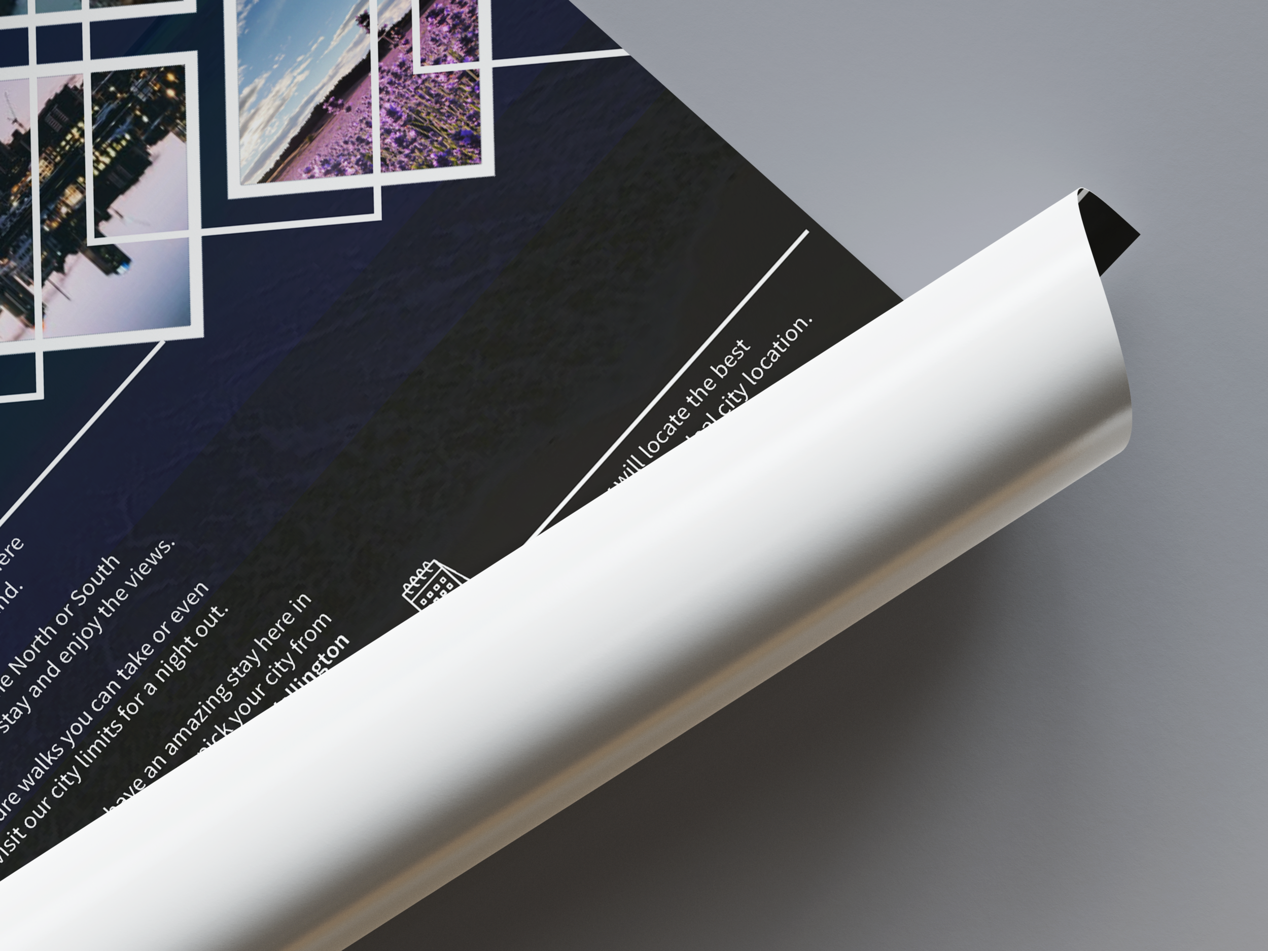 New Zealand Travel Poster (2016)