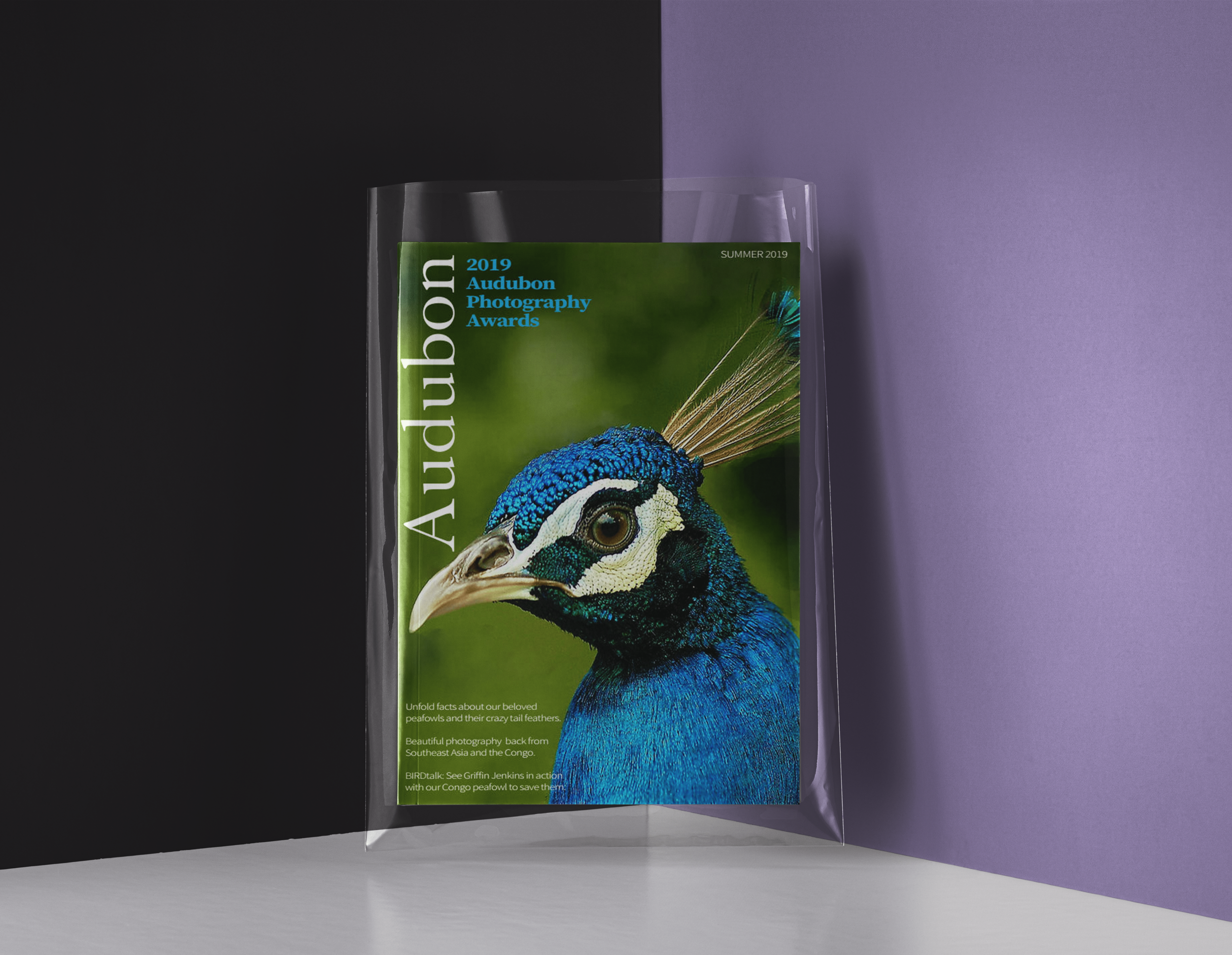 Audubon Magazine Spread (2016)