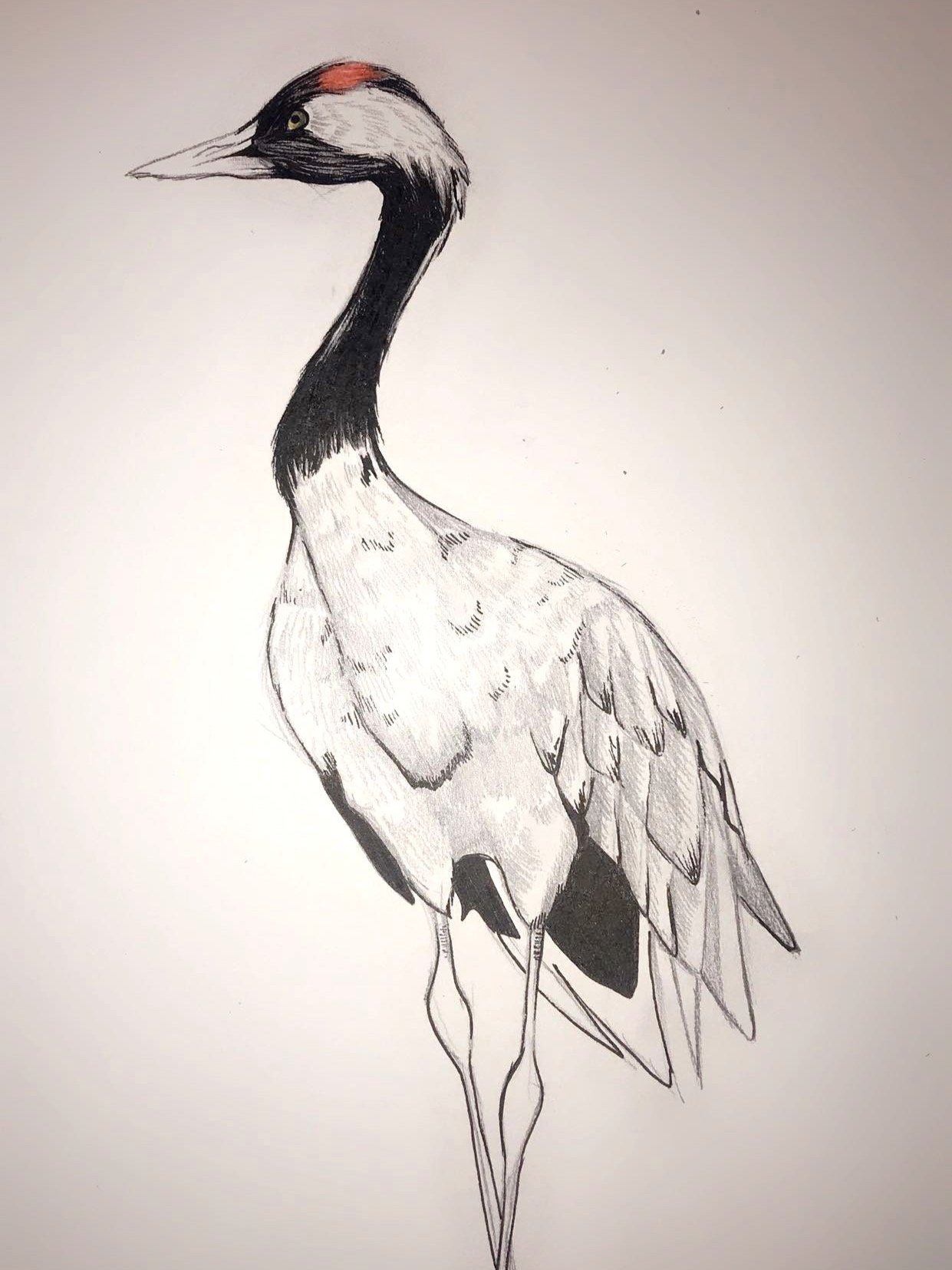 Traditional