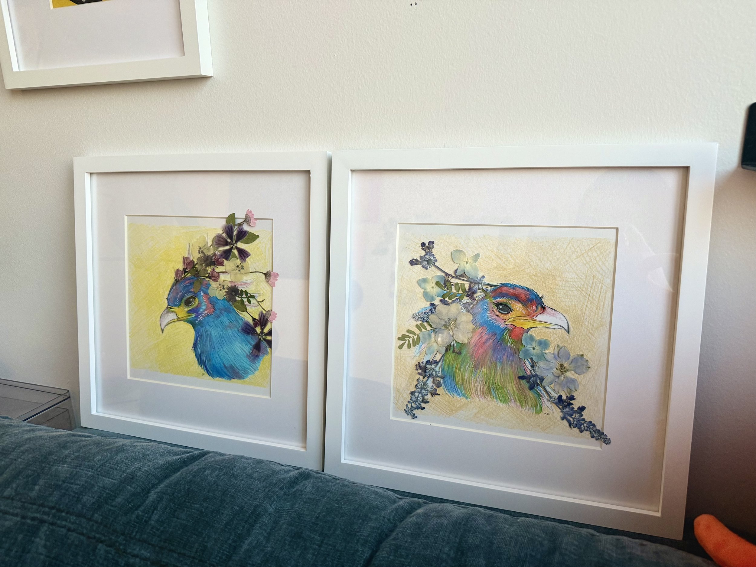 Two framed colorful bird illustrations with floral accents on a white wall.