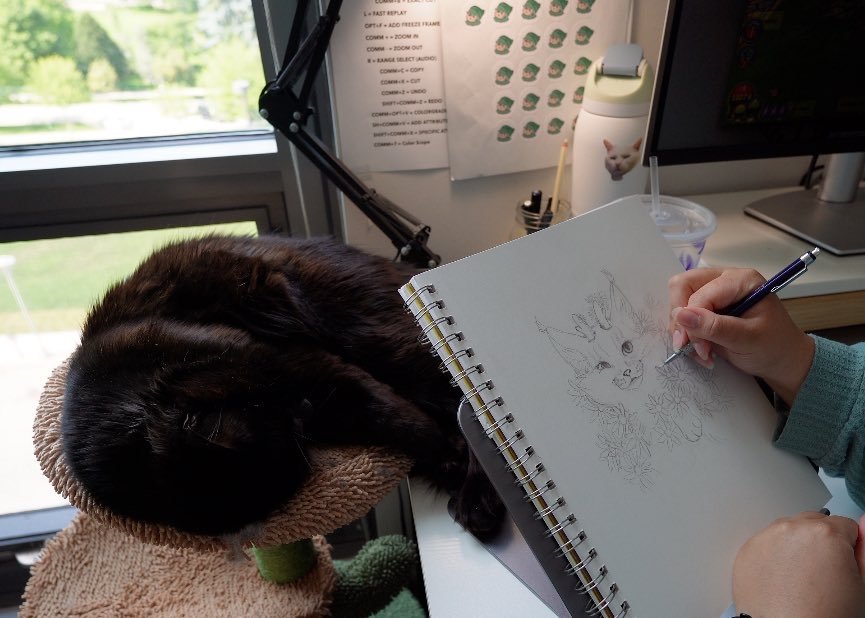 A person sketching a cartoon dog on a spiral notebook with a black pen, sitting at a desk with a black cat sleeping on a scratching post. The background shows a window, a computer monitor, a water bottle, and some papers and posters on the wall.