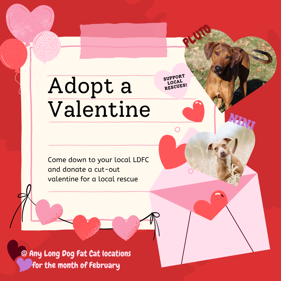 Valentine's Day flyer with images of a dog and a puppy, red and pink hearts, balloons, and an envelope, promoting adopting a dog from a local rescue for Valentine's Day.