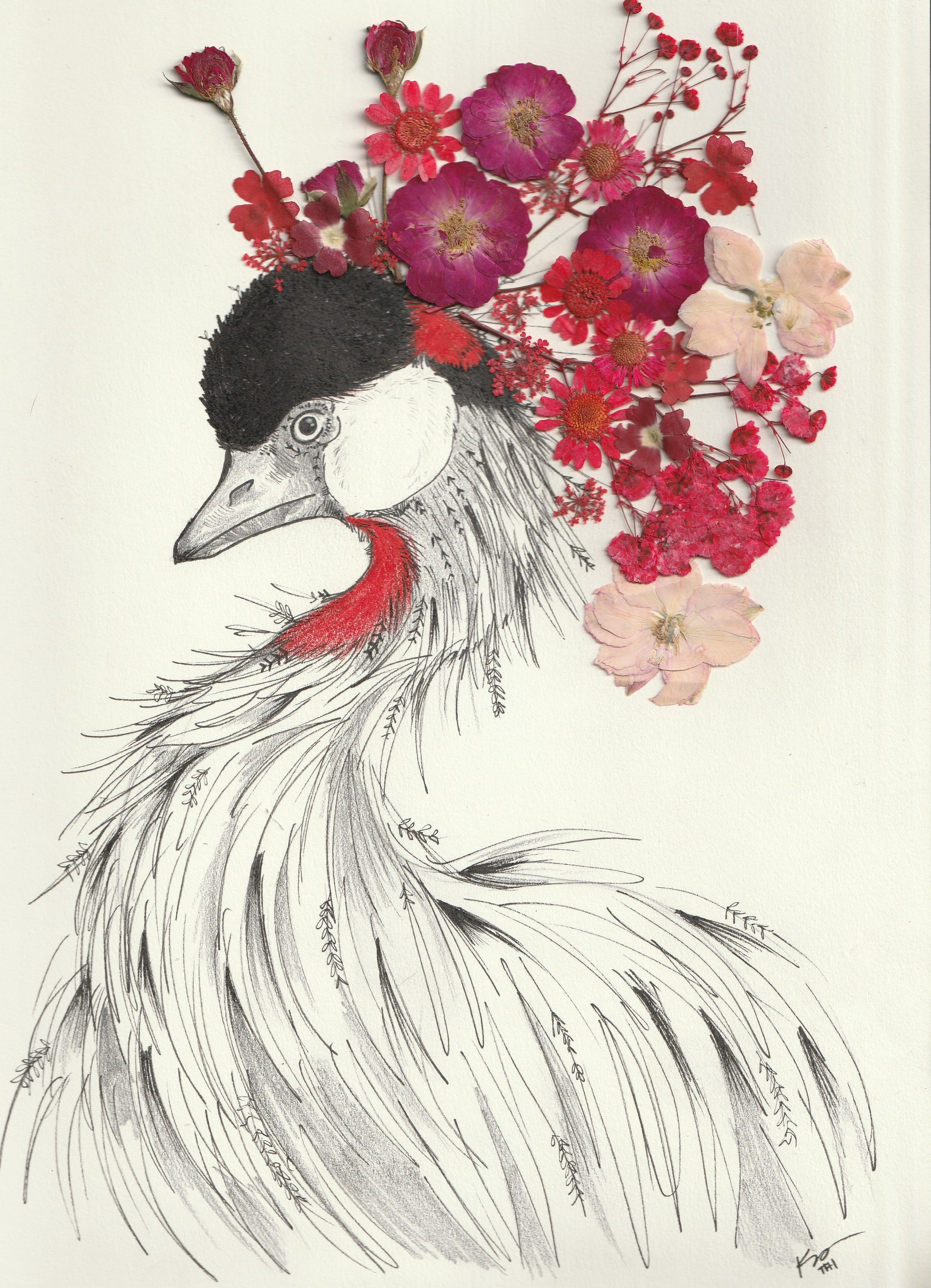 An artistic drawing of a bird's head with a large crest, combined with an arrangement of real dried and pressed pink and red flowers on top, creating a floral crown.