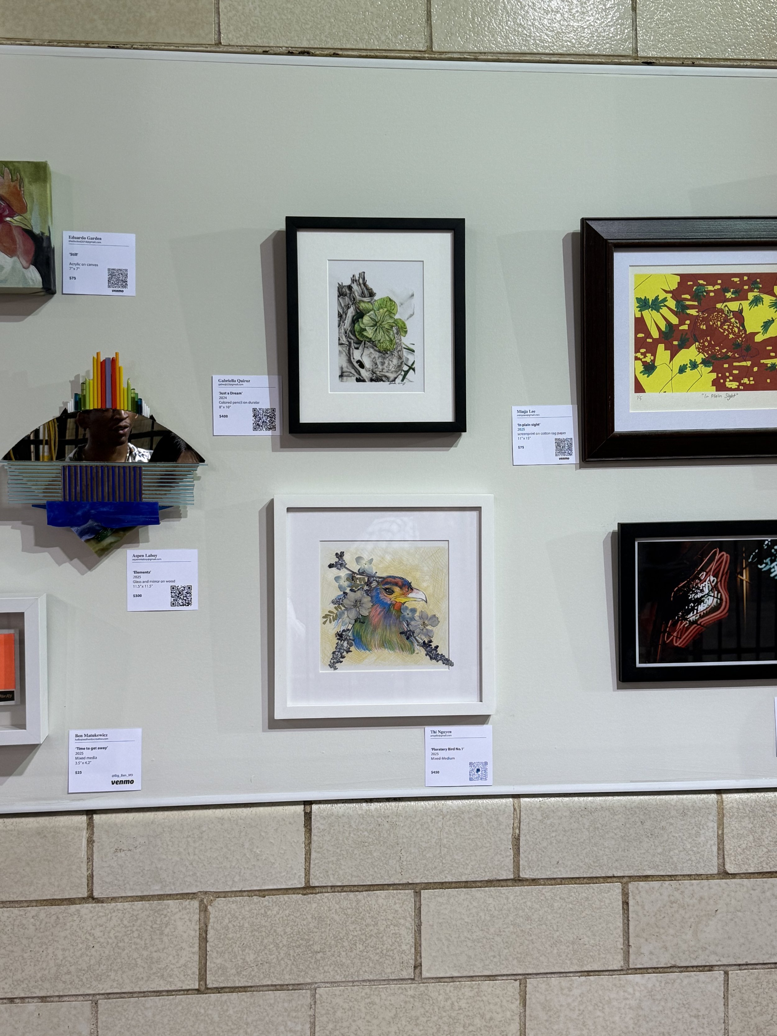 Artwork display on a gallery wall featuring framed paintings and drawings, including a botanical illustration, an abstract piece, a colorful bird illustration, and other mixed media artworks.