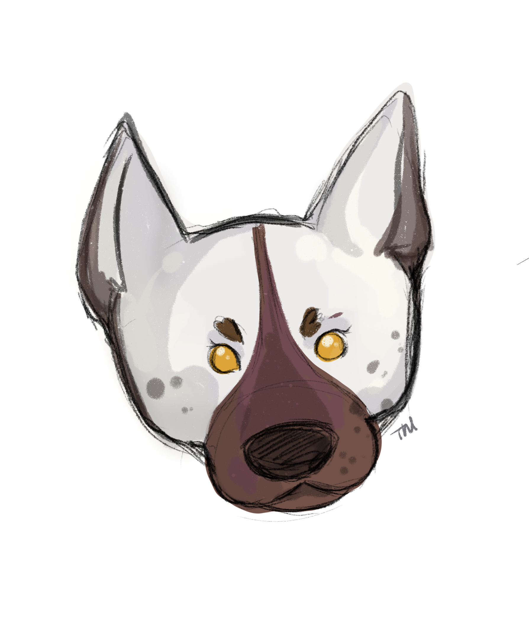 Illustration Sketch