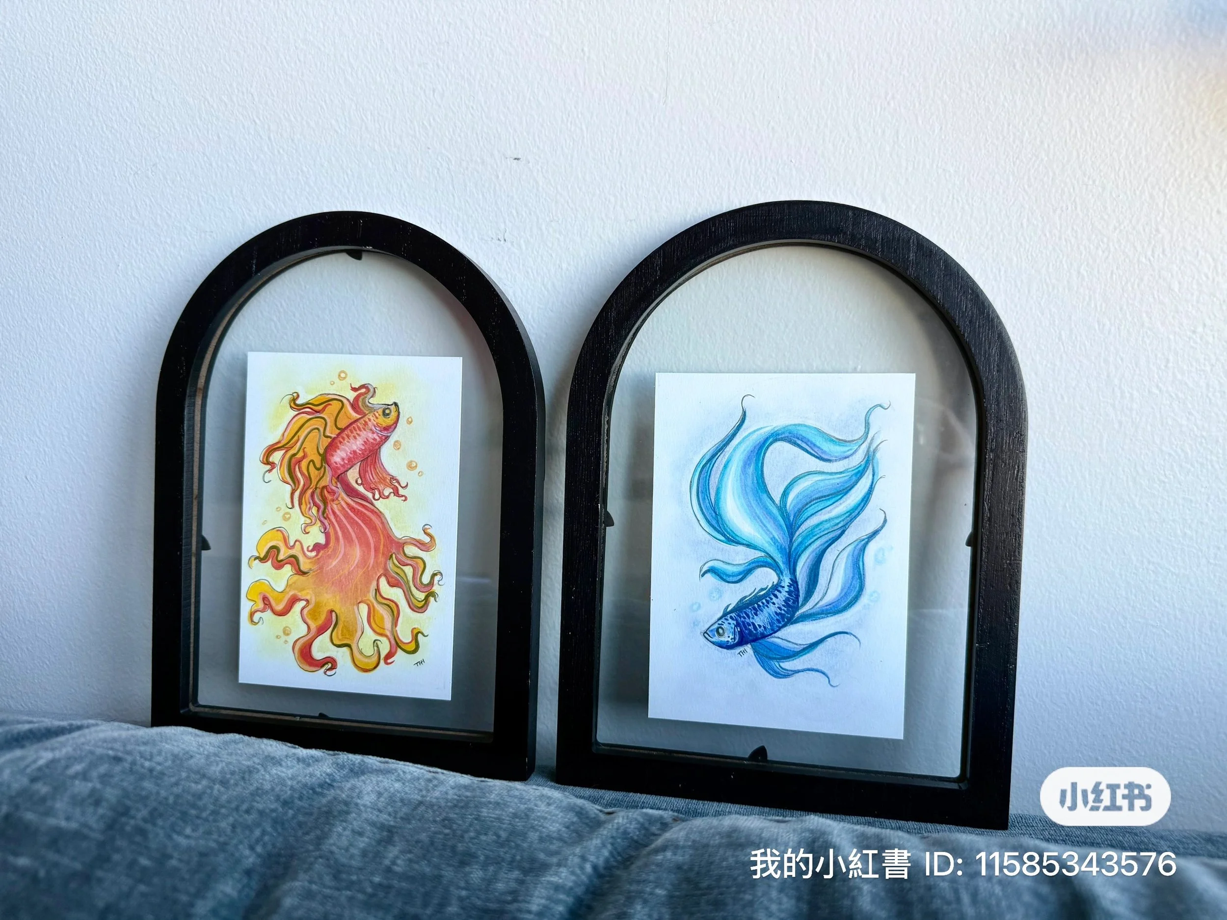 Two black arched frames each containing a colorful fish illustration, one orange and red, the other blue, displayed against a white wall.