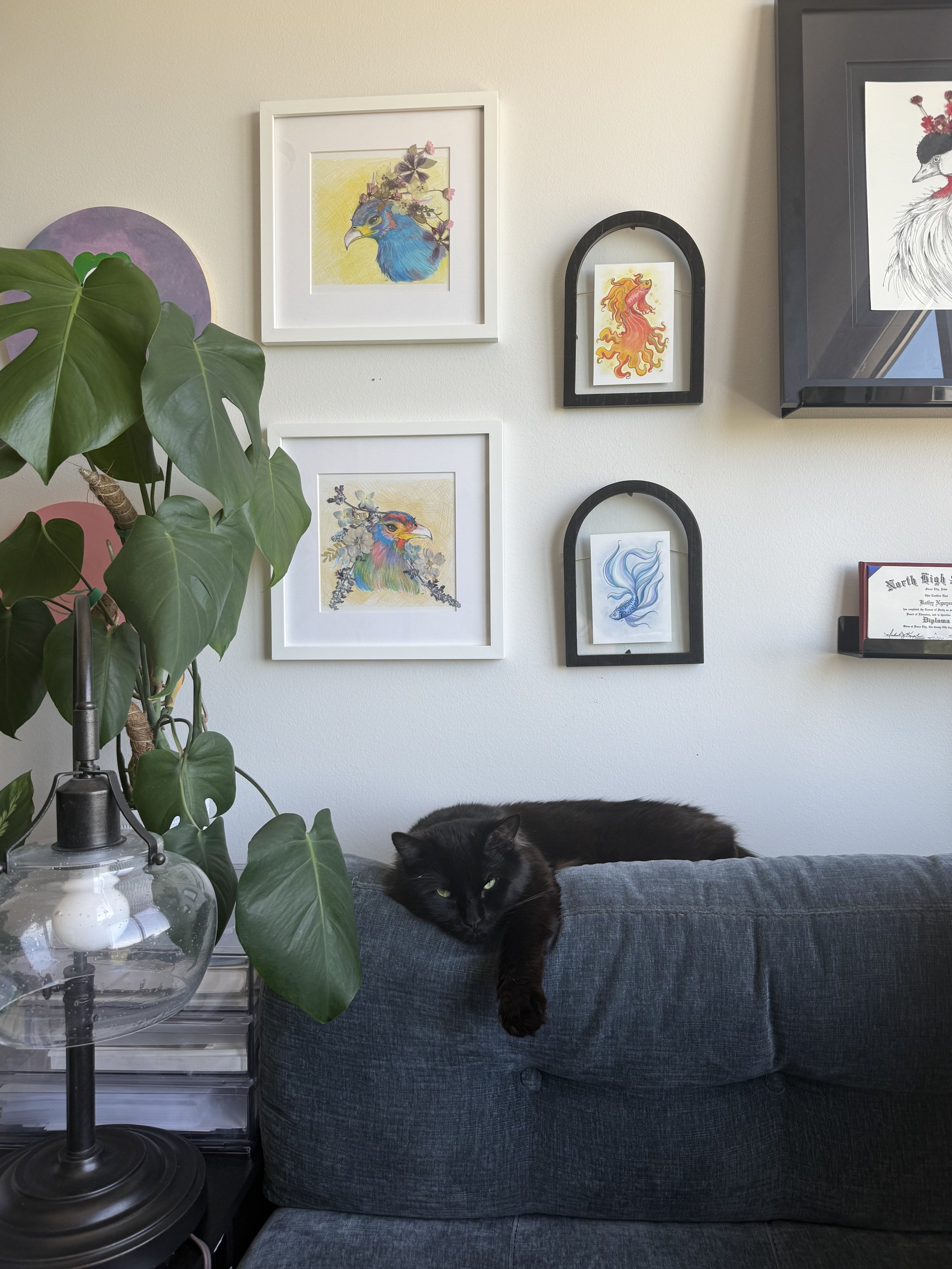 A black cat lying on the back of a gray couch, partially hanging over the edge. To the left, a large green plant with broad leaves and a glass lamp with a black stand. The wall behind the couch has several framed colorful bird illustrations and artwo