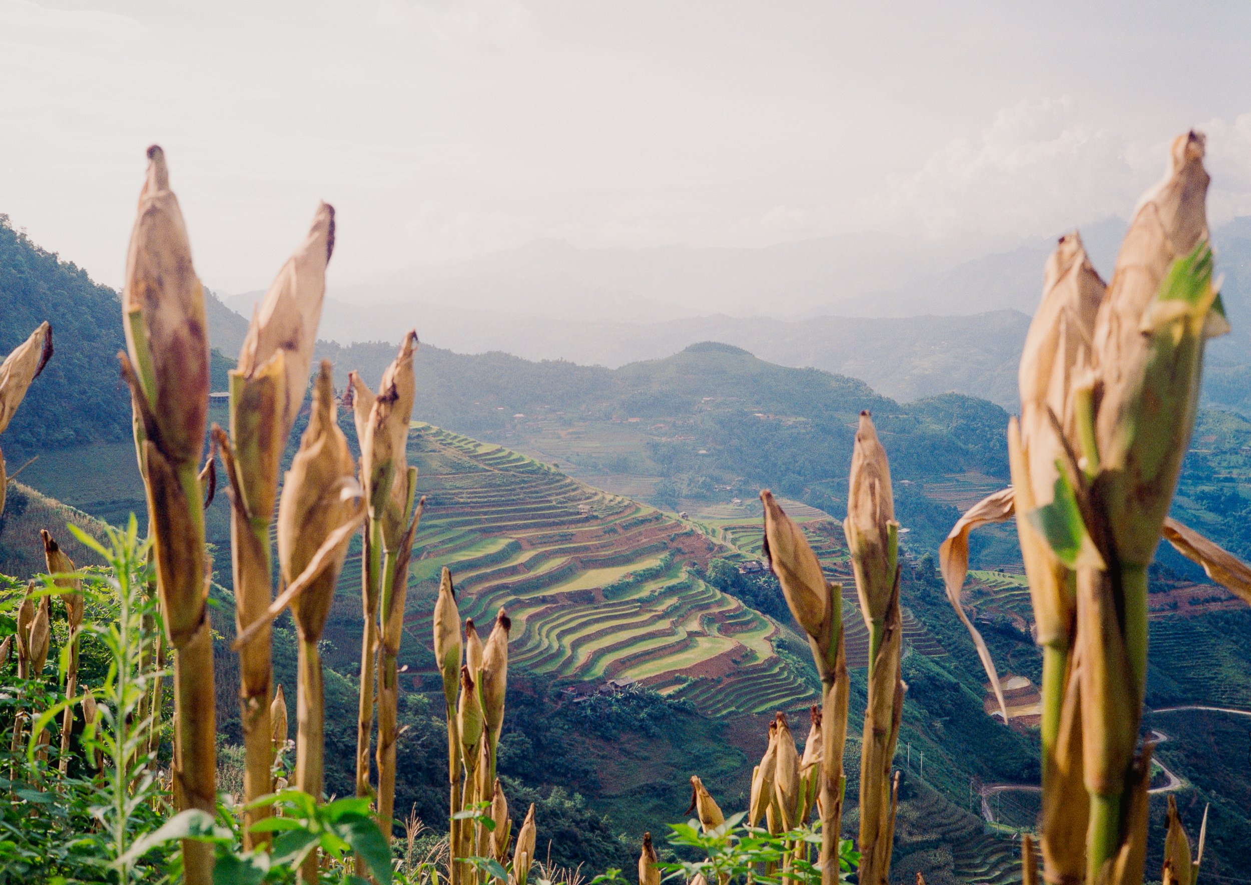 Ha Giang Loop 2