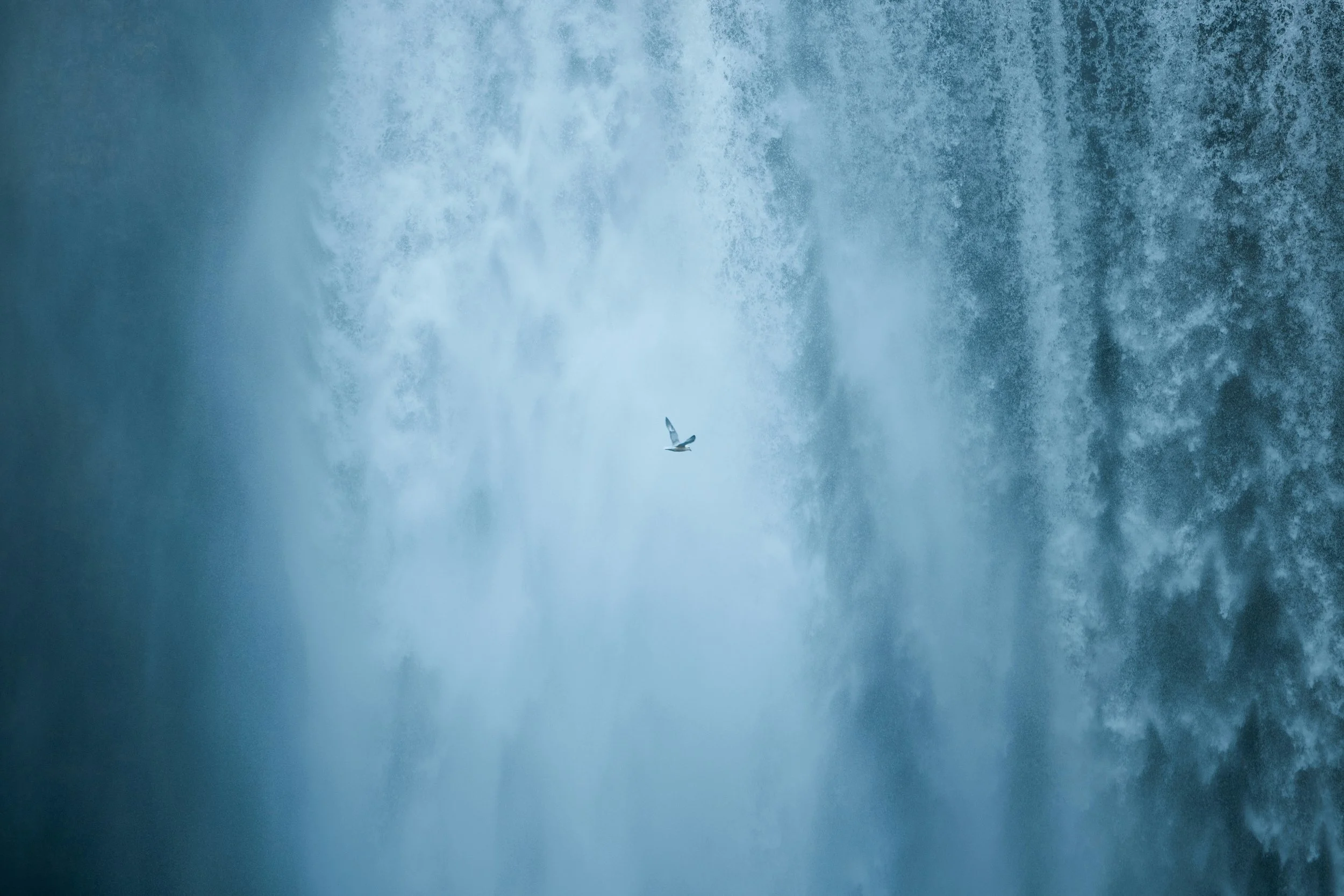 spenser-sembrat-0pixw_ui_JA-unsplash.jpg