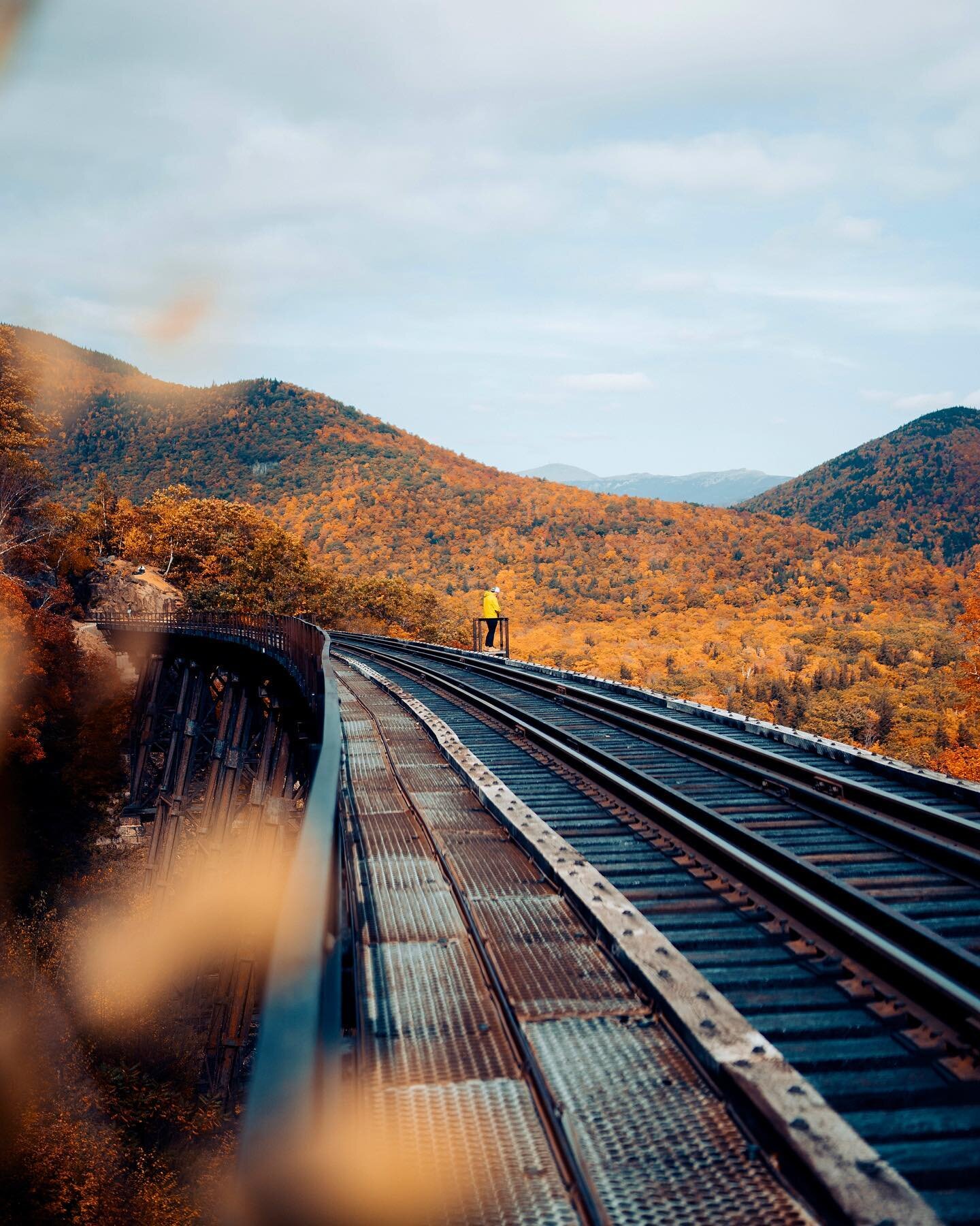 A sea of oranges and yellows 🍂🍁

#hellofrom #exploringourglobe #tlpicks #discoverearth #bestvacations #neverstopexploring #wonderfulplaces #awesomeearth #voyaged #liveoutdoors #travelstoke #canonusa #worldprime #wowplanet #kings_shots #nature_wizar