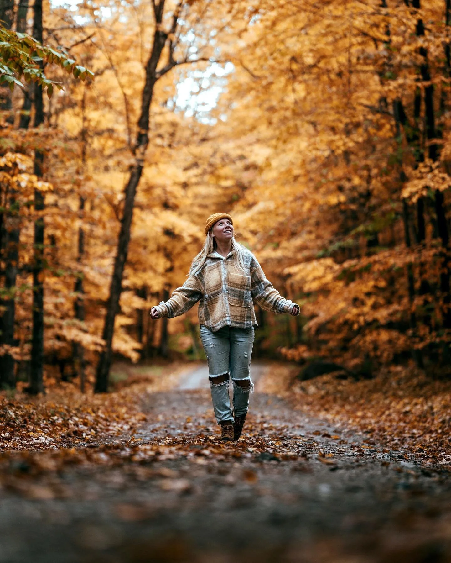 Walking through forests of dying leaves is fun 🍂🍁