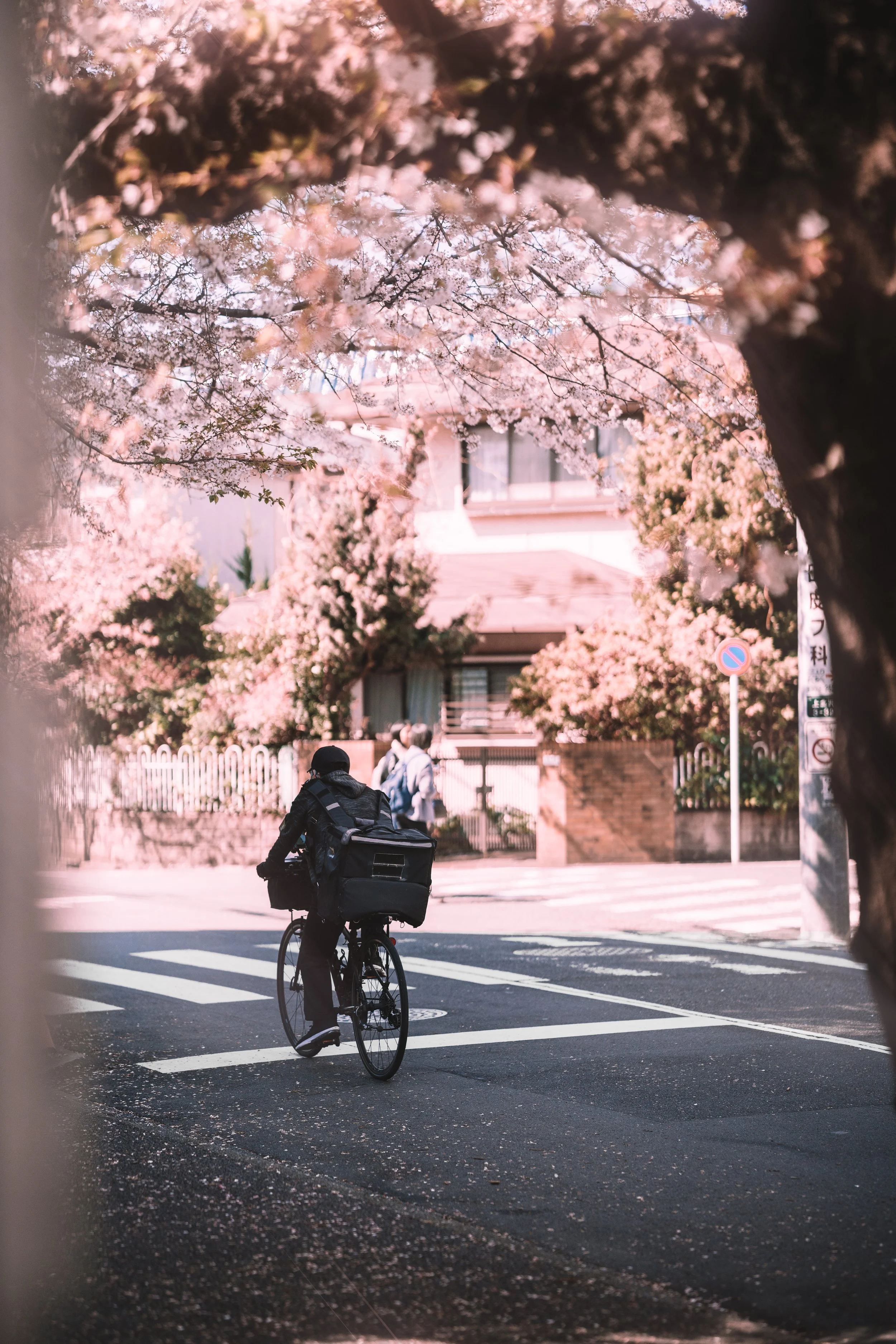 TokyoSakura2026_SSS09991-Edit.jpg