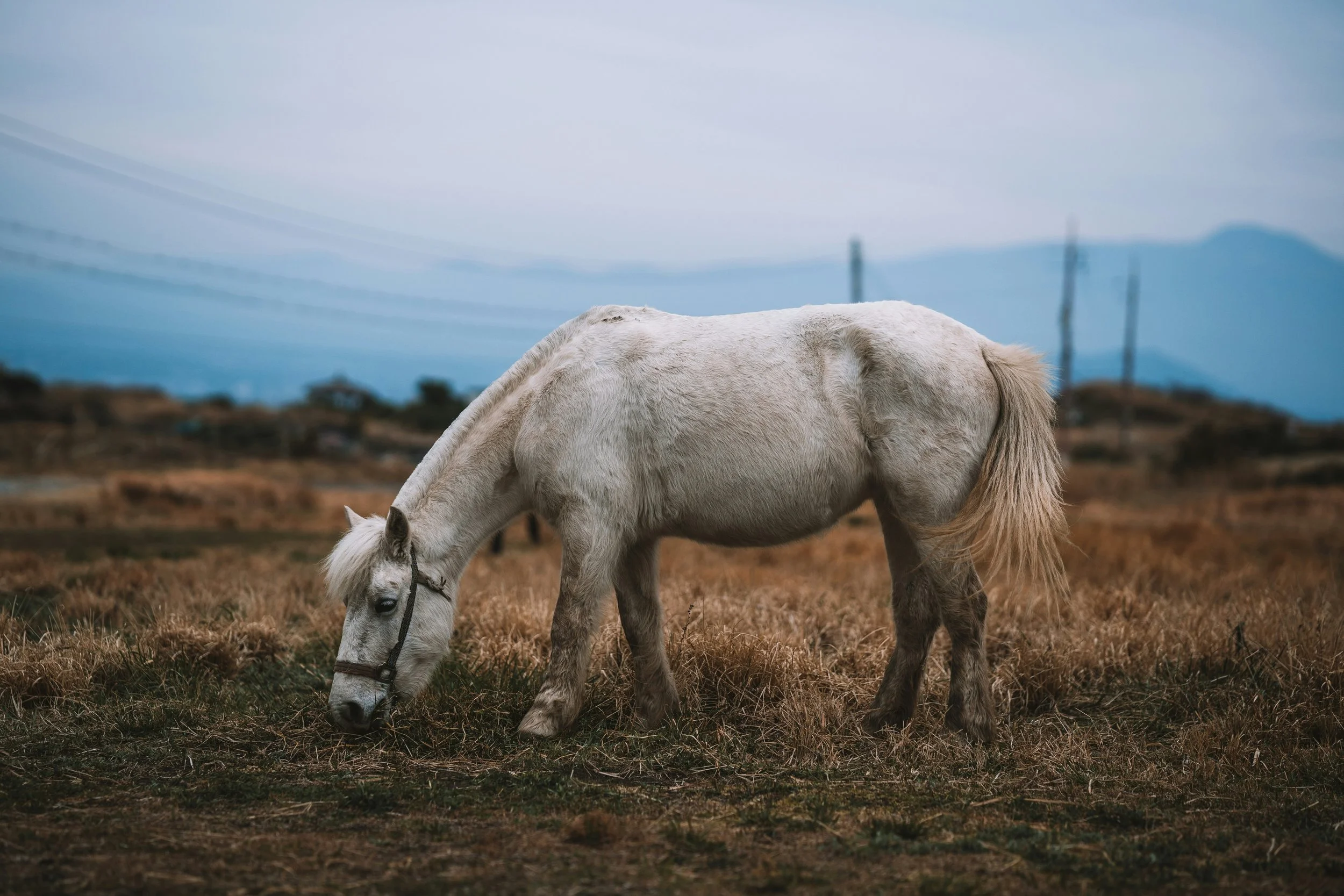 spenser-sembrat-bOaIexibpb0-unsplash.jpg