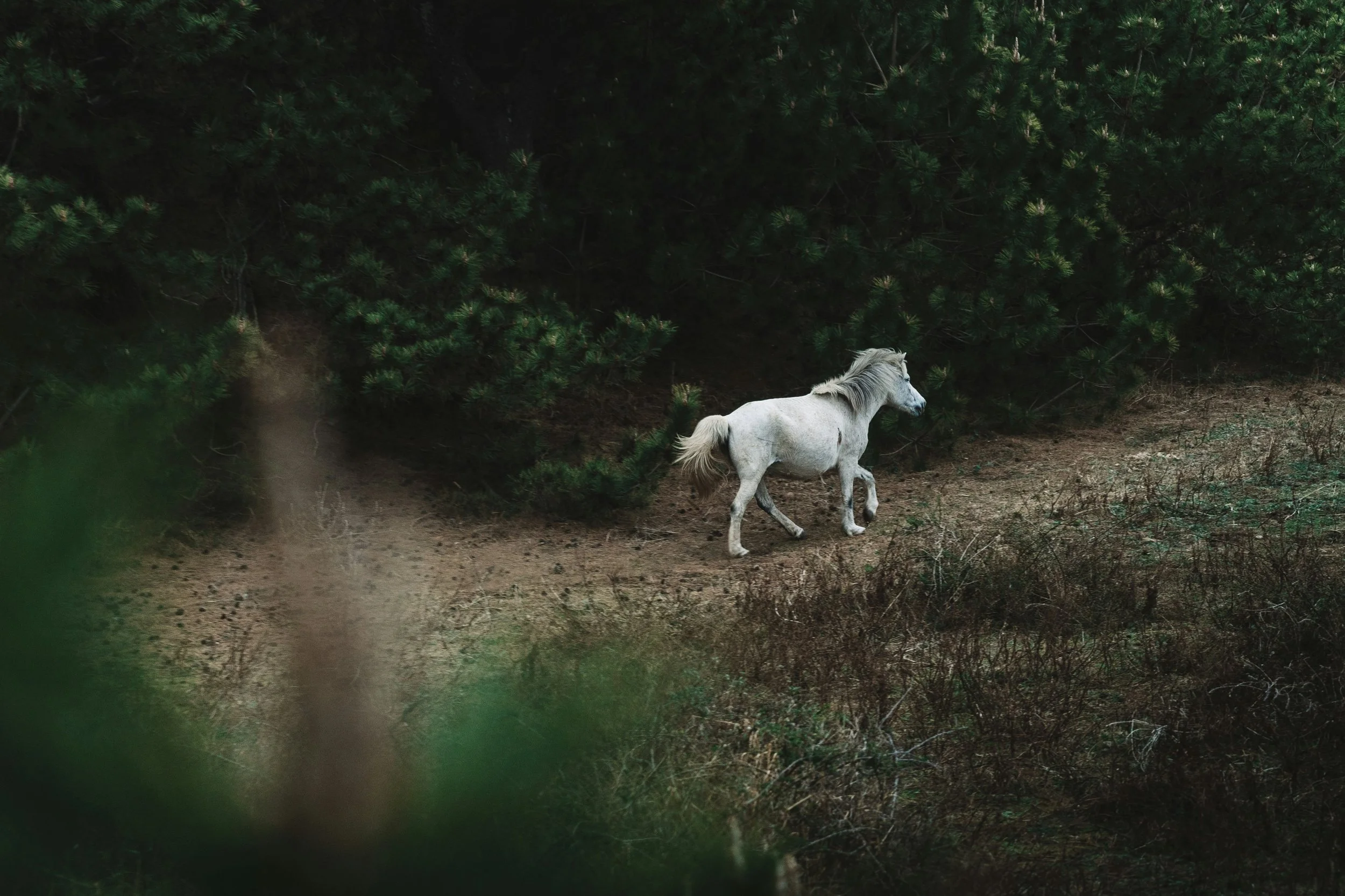 spenser-sembrat-OoeCYgEKXdY-unsplash.jpg