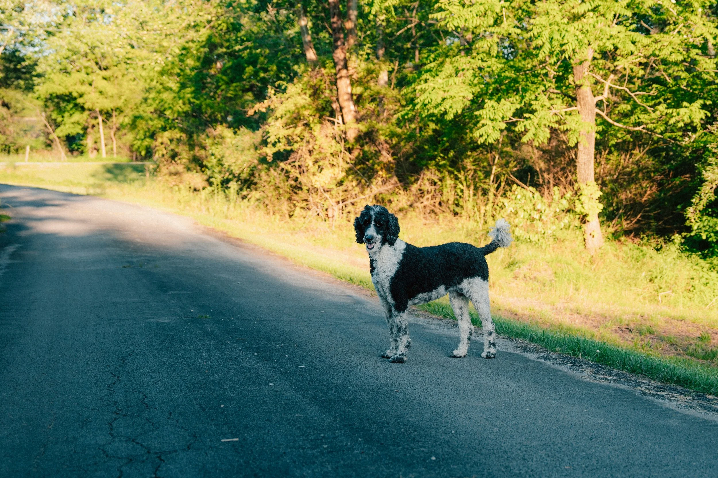 spenser-sembrat-9-3YcdnM6Mc-unsplash.jpg