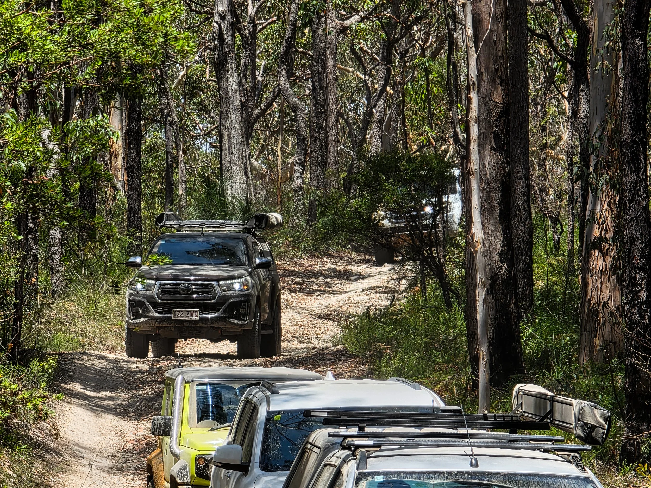 Three off-road vehicles on a narrow dirt trail through a dense forest with tall trees and green foliage.