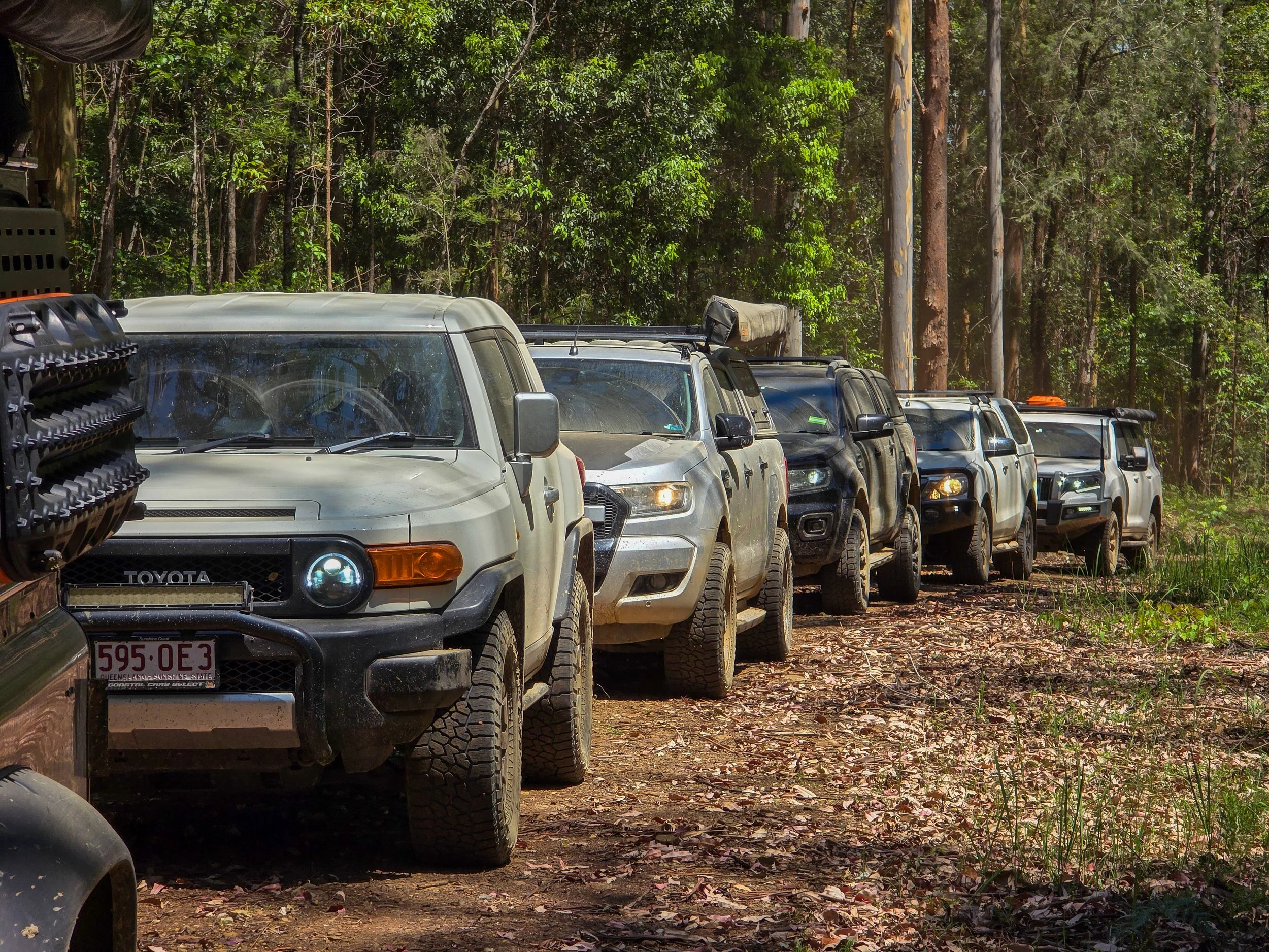 A line of six vehicles, mostly off-road trucks, parked on a dirt forest trail surrounded by trees and greenery.