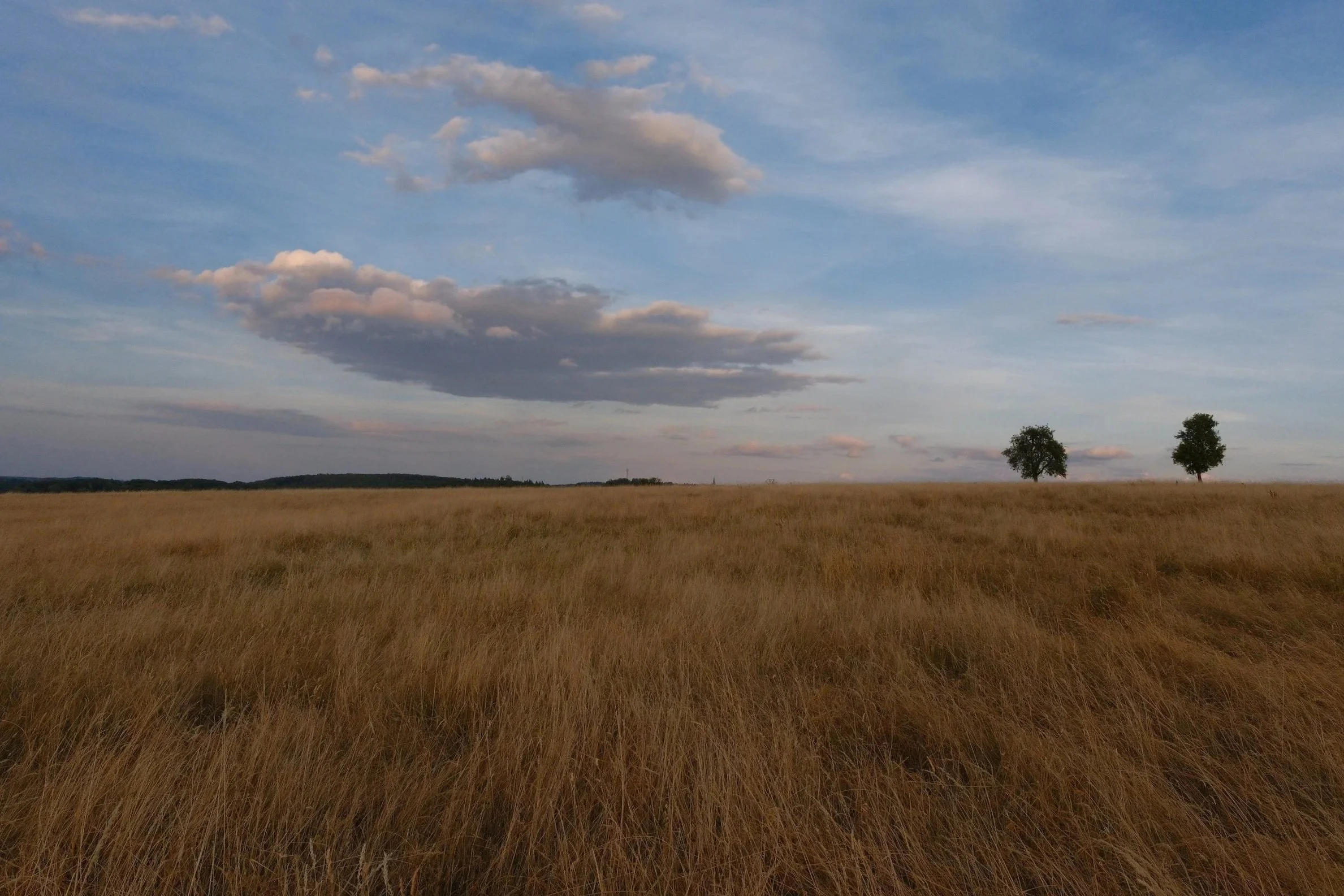 DSCF2632.jpg