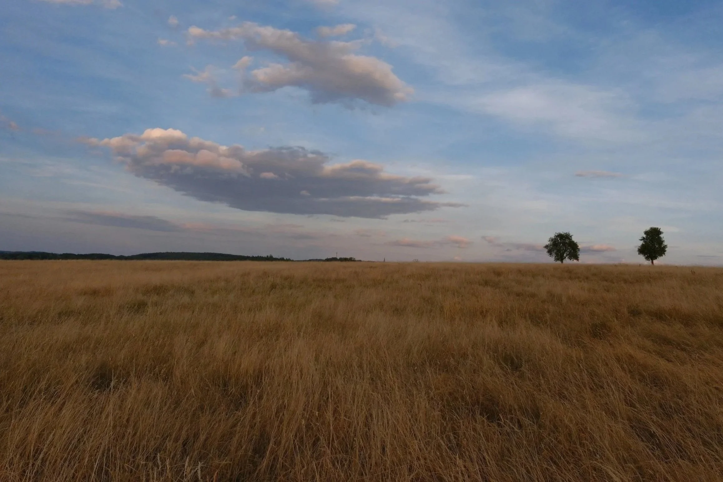 DSCF2632.jpg