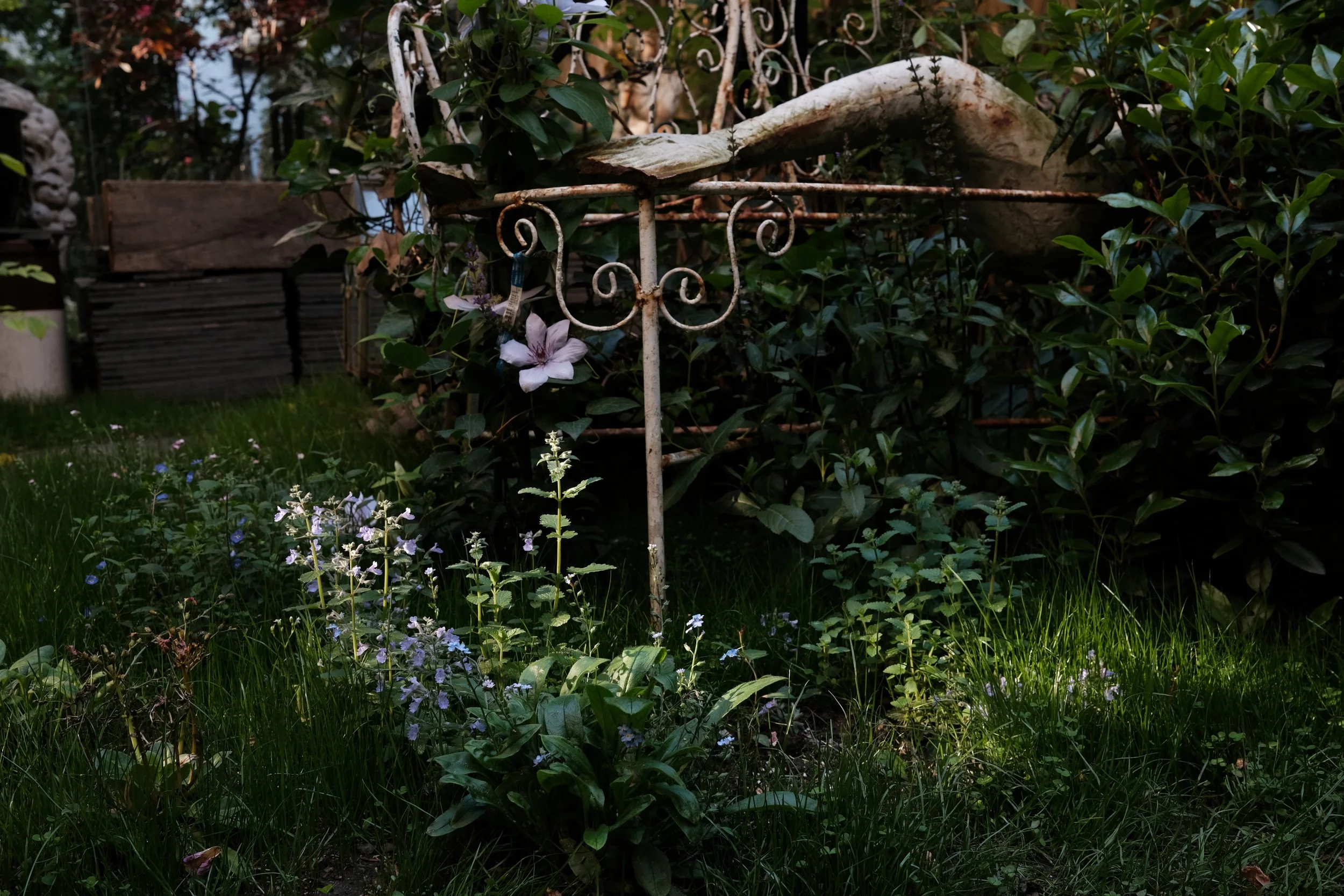 DSCF8957.JPG