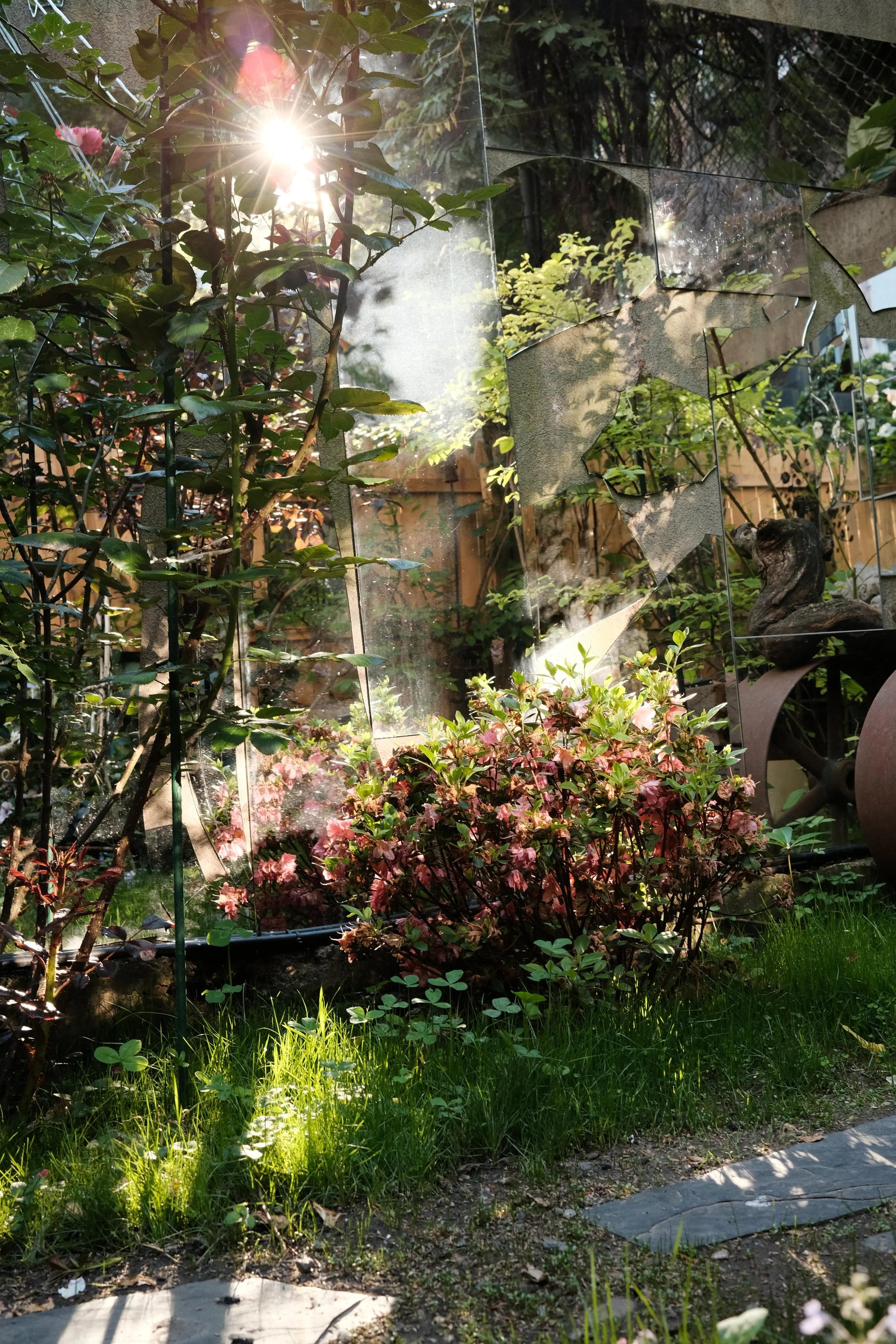 DSCF8977.JPG