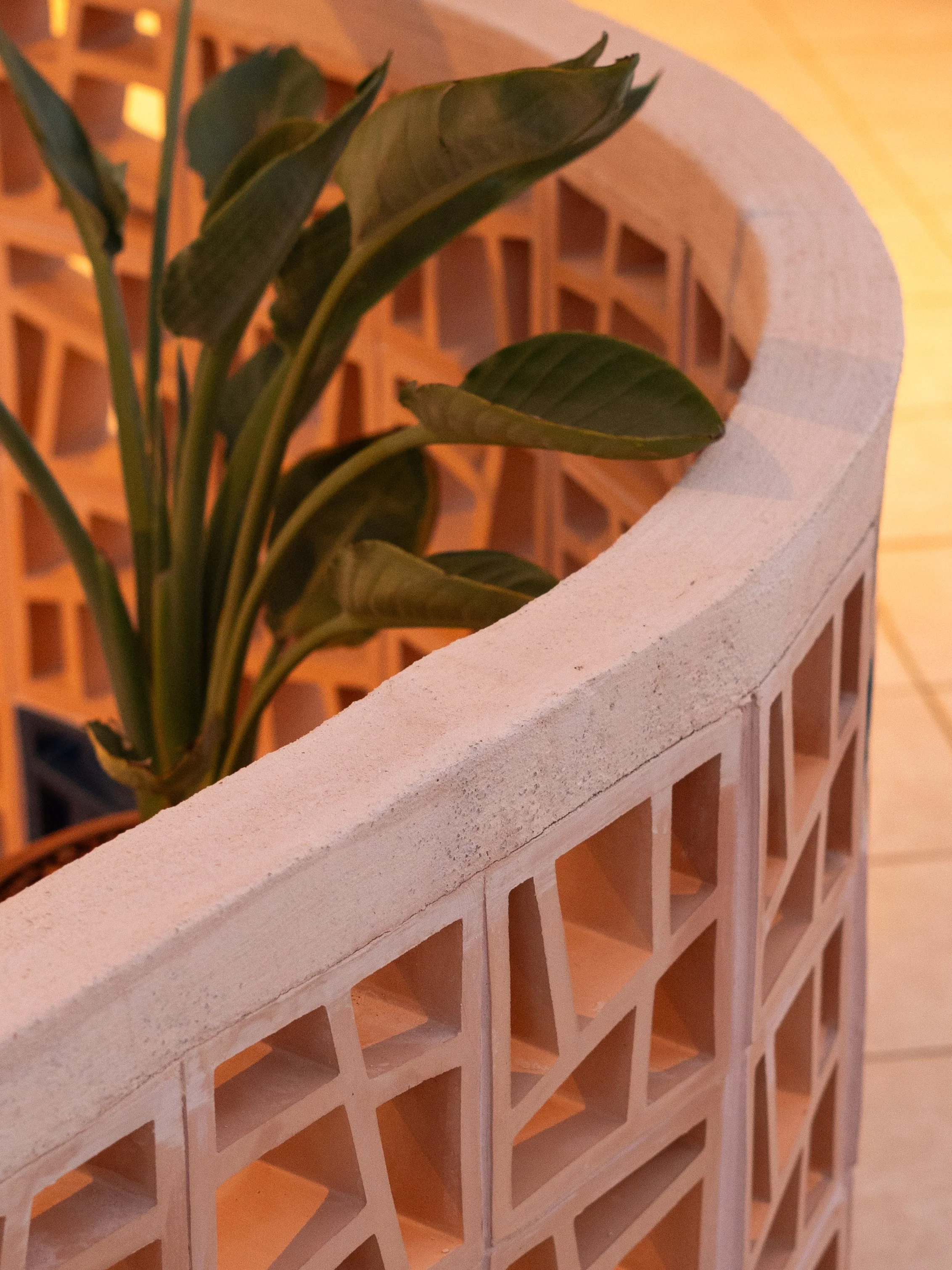 A plant with large green leaves growing next to a decorative white brick wall with a curved arch and geometric cutouts.