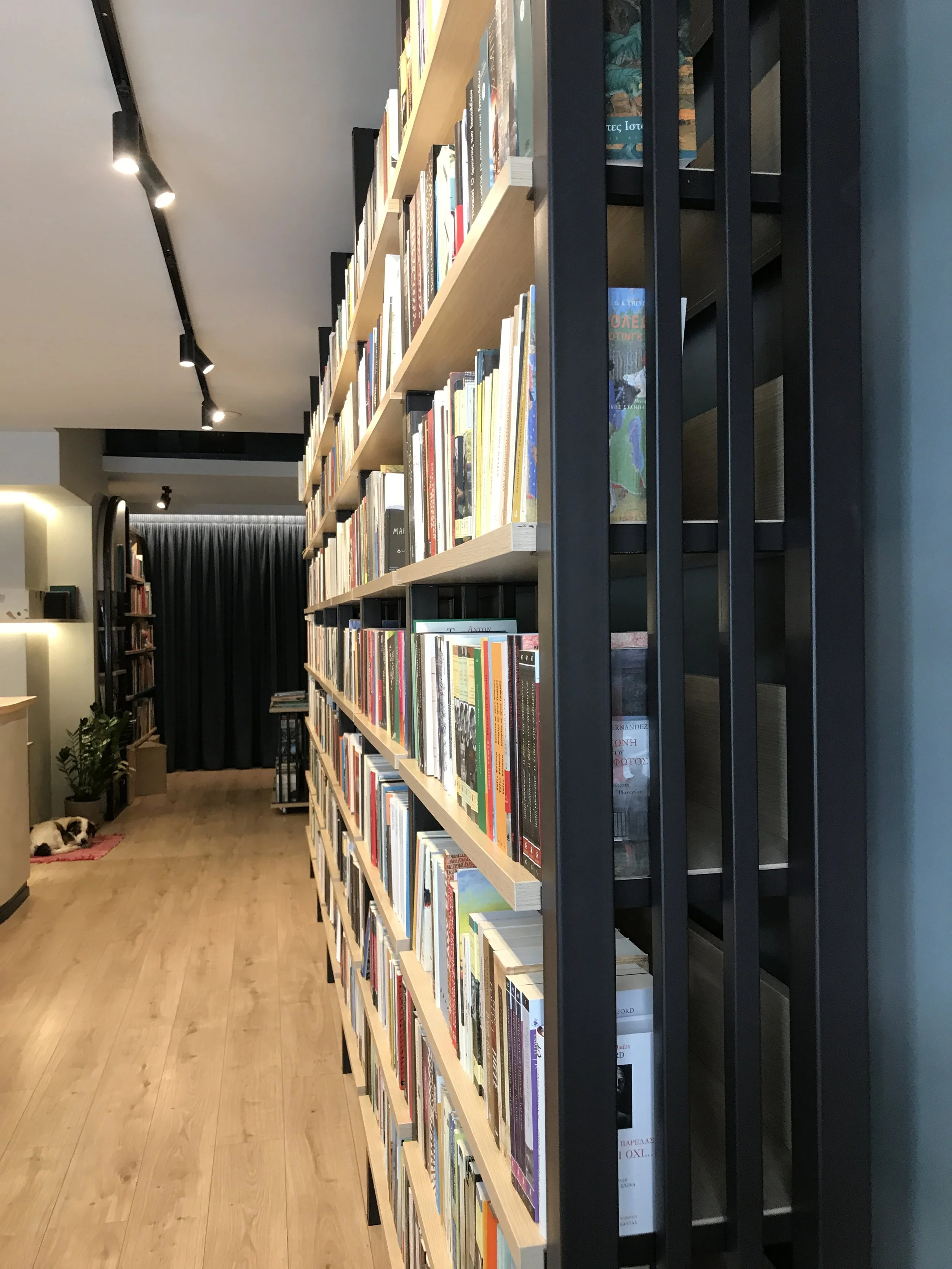 A narrow bookstore aisle with wooden floors, filled with books on tall shelves on the right, and a small dog lying on a pink mat at the end of the aisle on the left, near a potted plant and furniture.