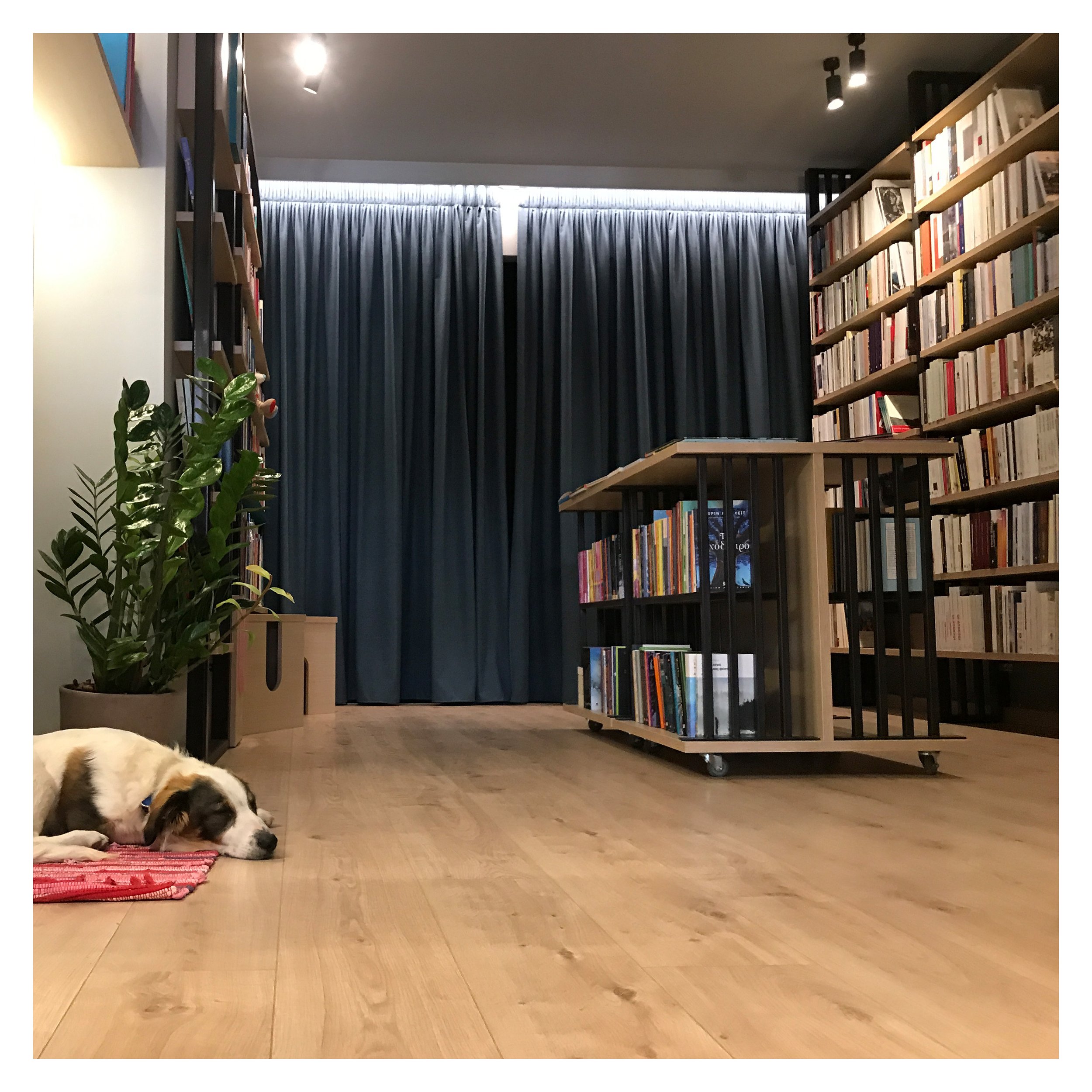 VIEW OF THE KID’S DEPARTMENT