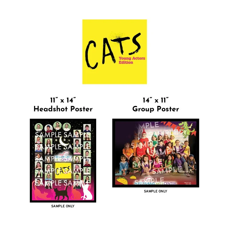 Cast poster designs for web cats.jpg
