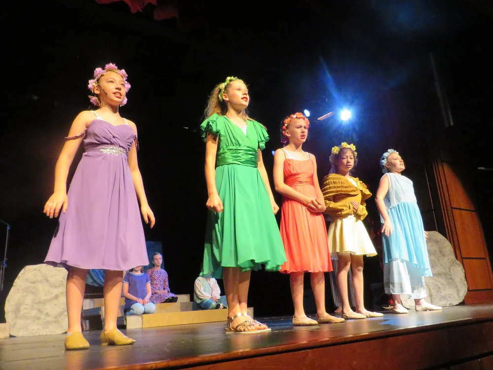 About Us — Wolf Performing Arts Center