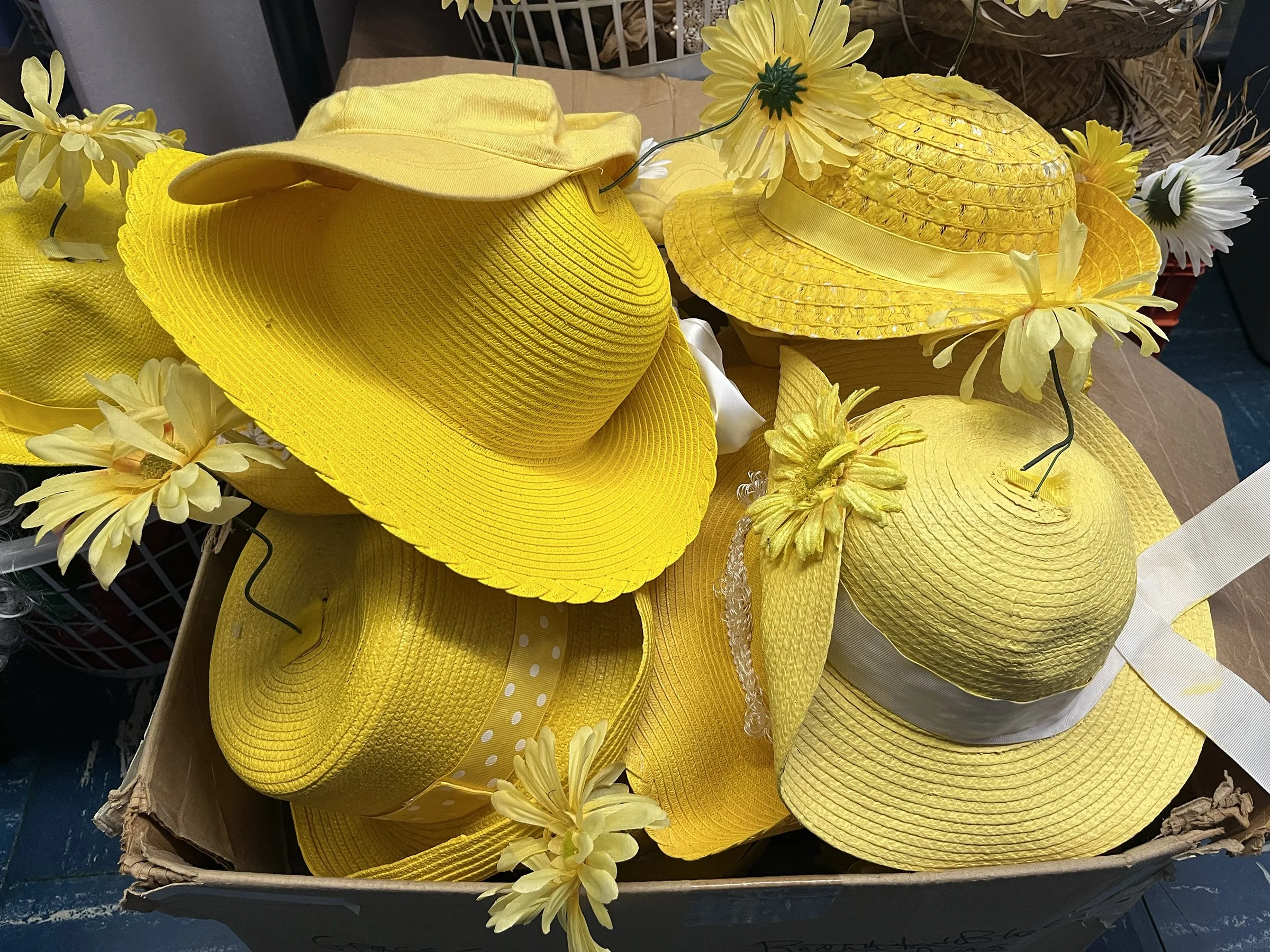 COSTUMES HATS.jpg