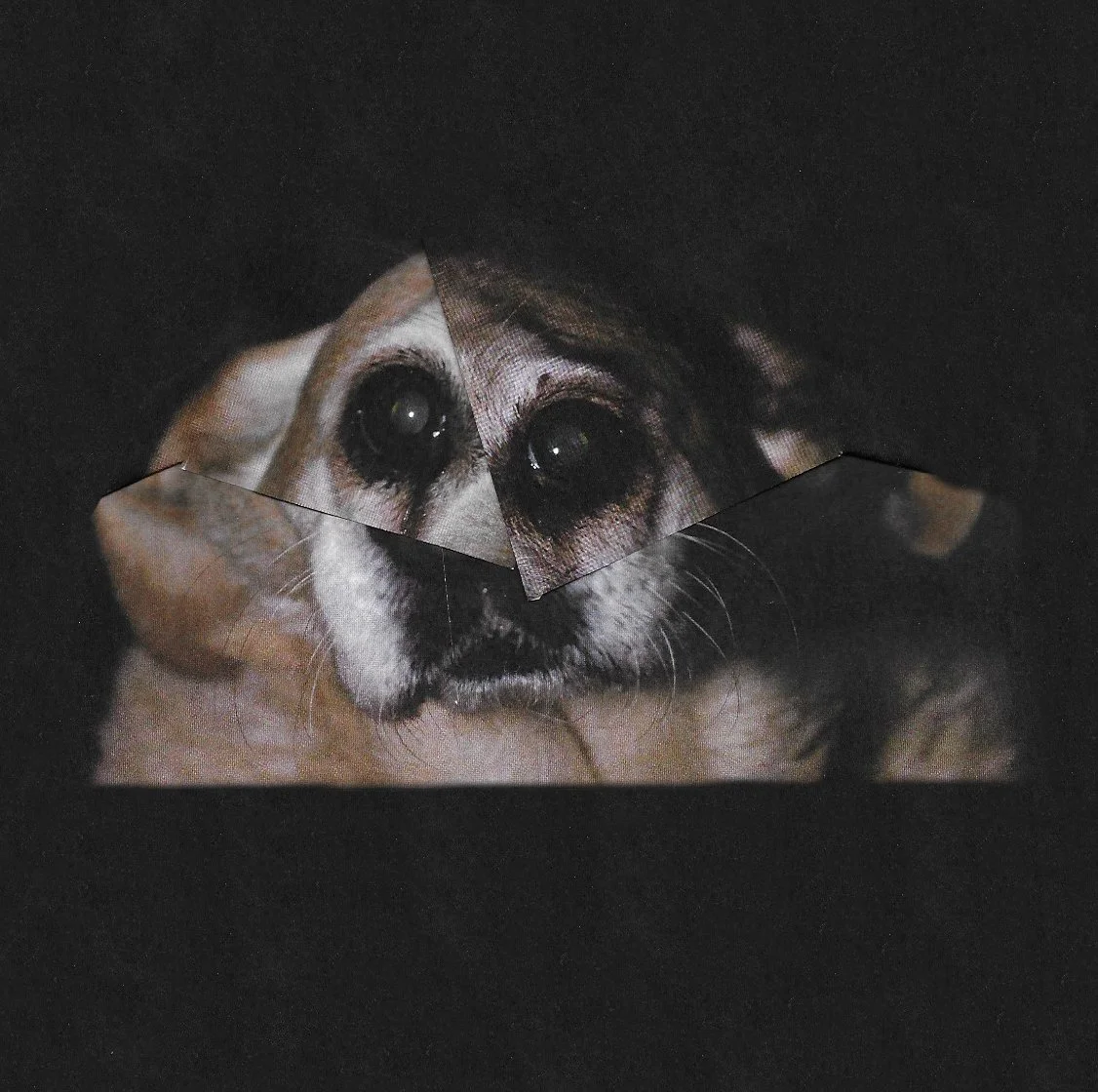 Crumble 2.jpg