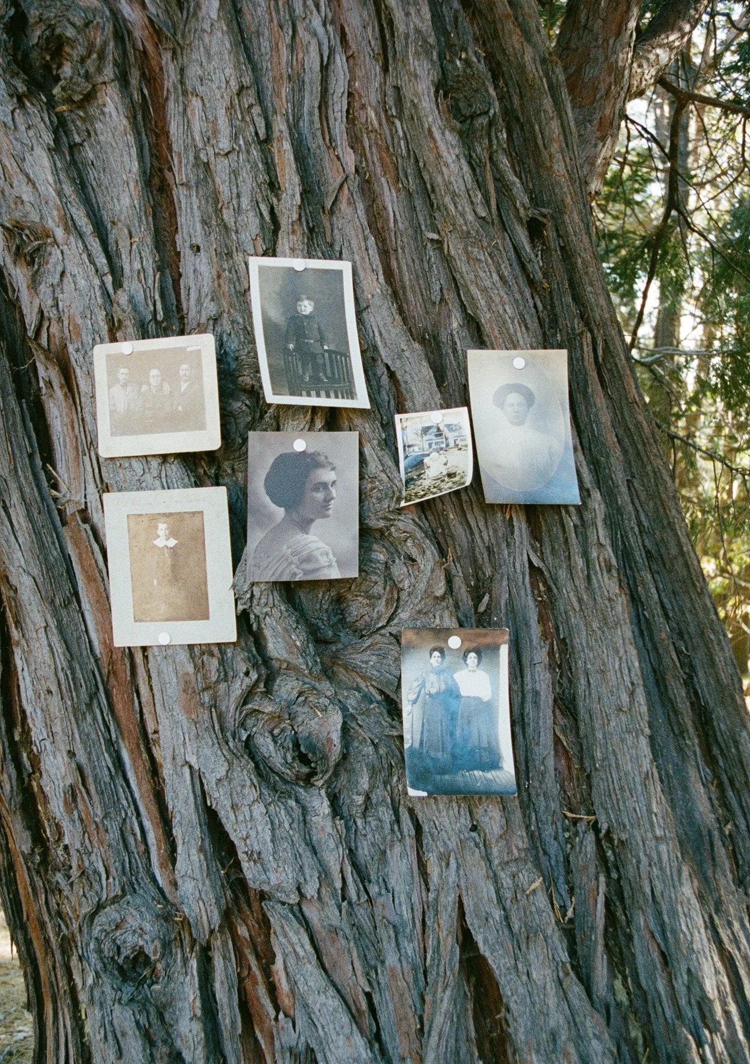 Photo Nov 02 2025, 11 18 21 AM (87).jpg