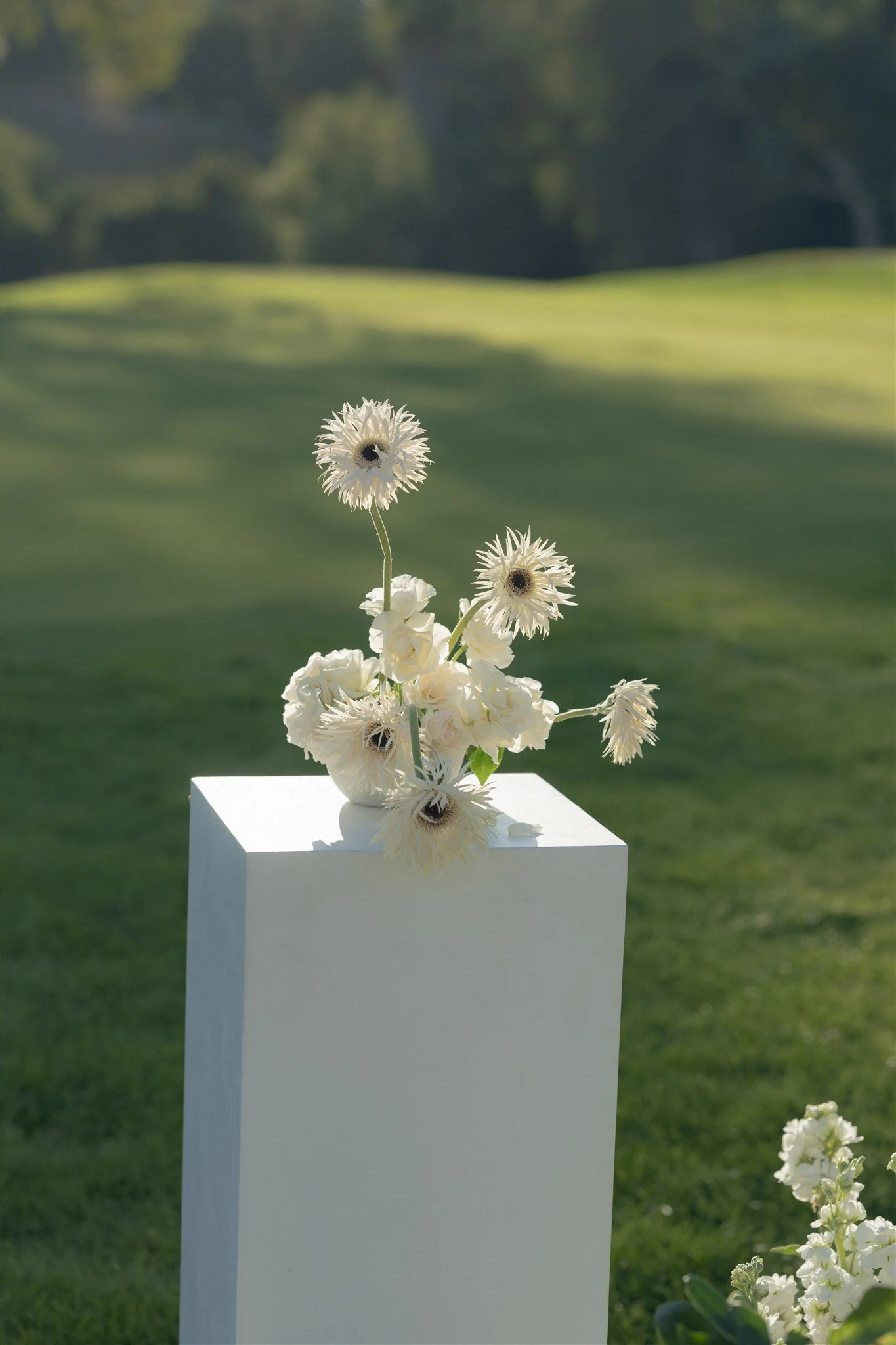 Sloane Photo - Karina Nick Wedding-958.jpg