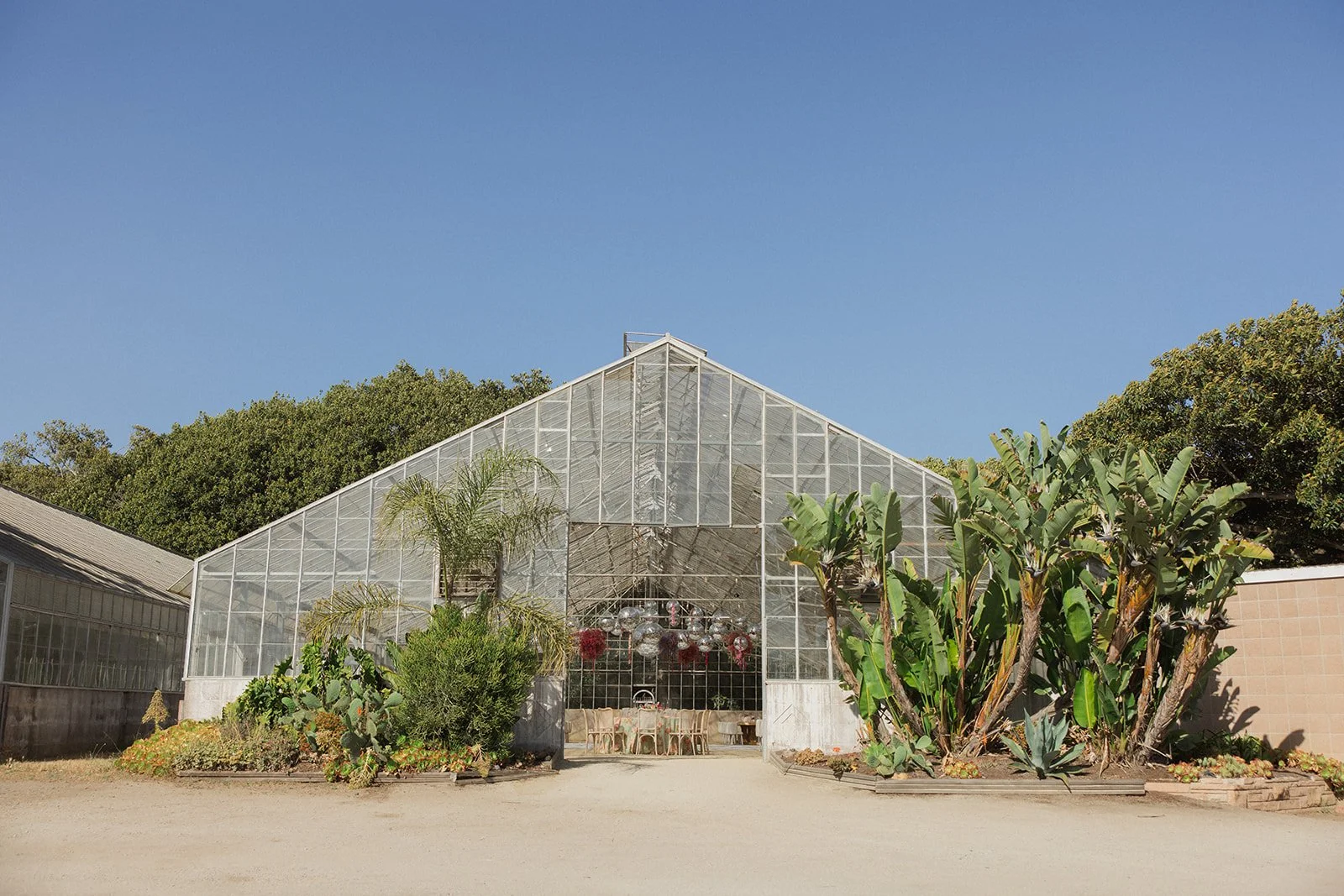 Caylie & Michael-Wedding-1604.jpg