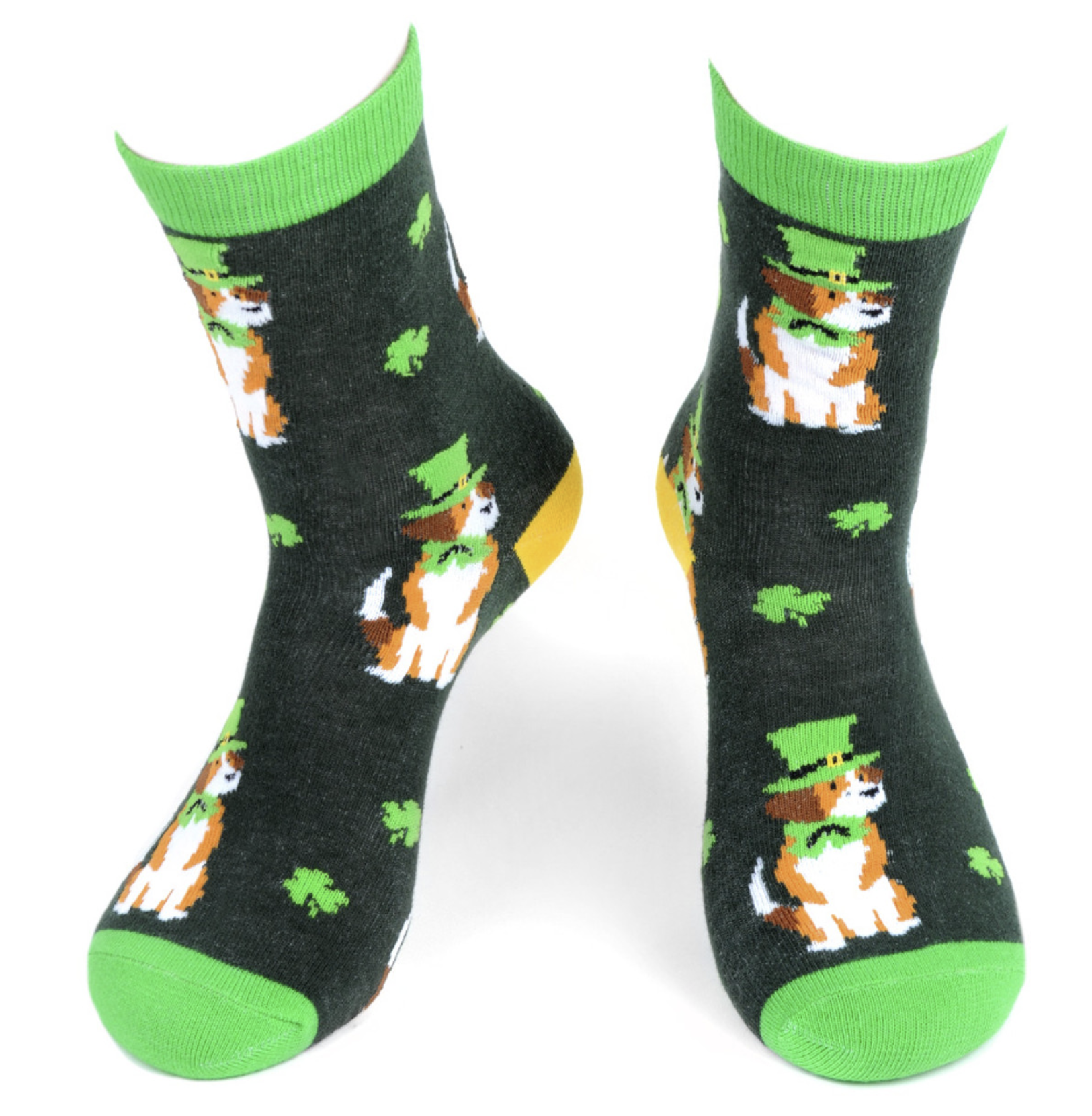 st patrick dog front.png
