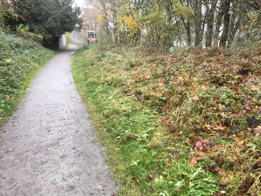 Verwuchertes Gleis bei Mühltalbach im Oktober 2016