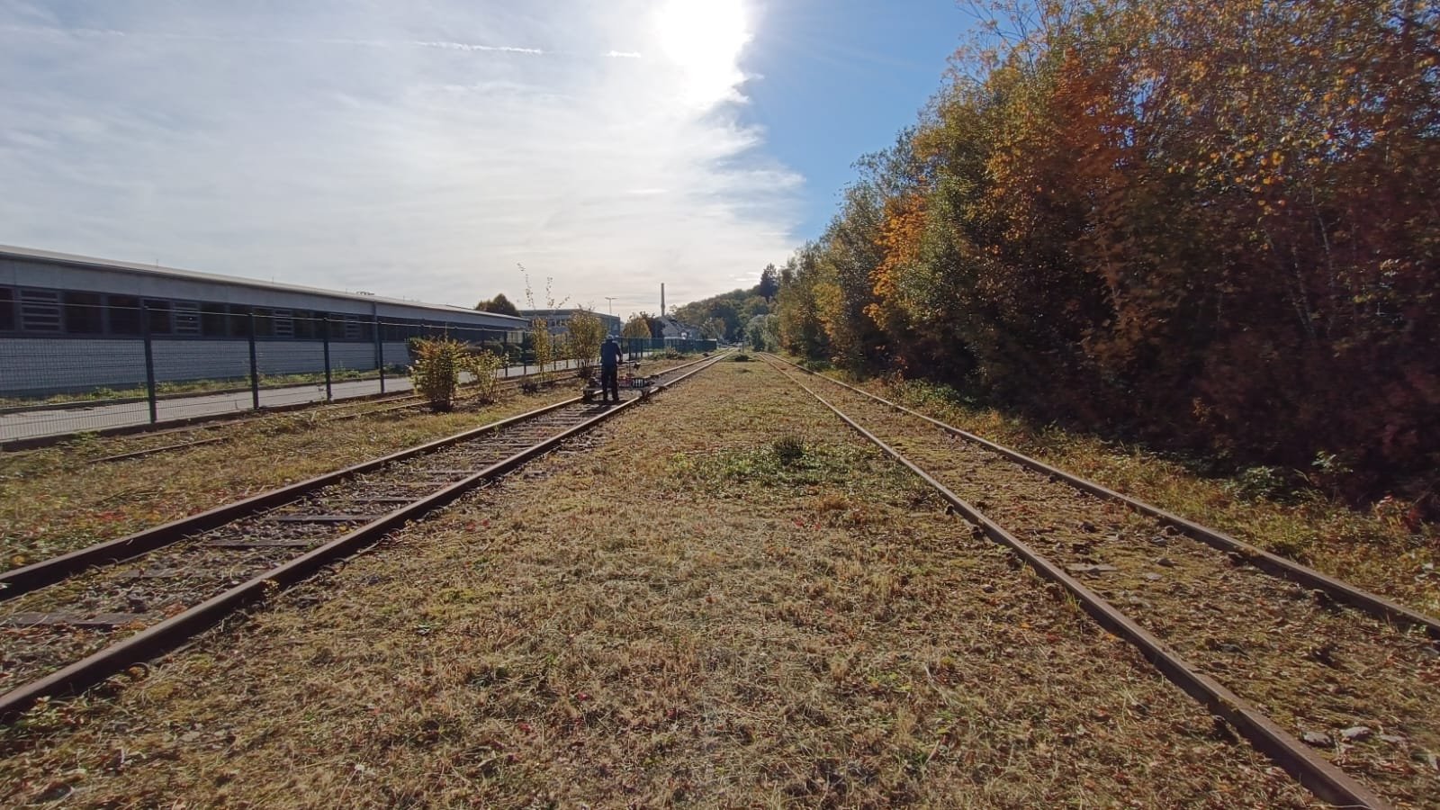21. Oktober 2023: Nach der langen Betriebspause wegen der Hochwasserbaustelle in Sulzsteg wurden die Gleisanlagen im Güterbahnhof Grubweg für die Wiedereröffnung von Bewuchs befreit.