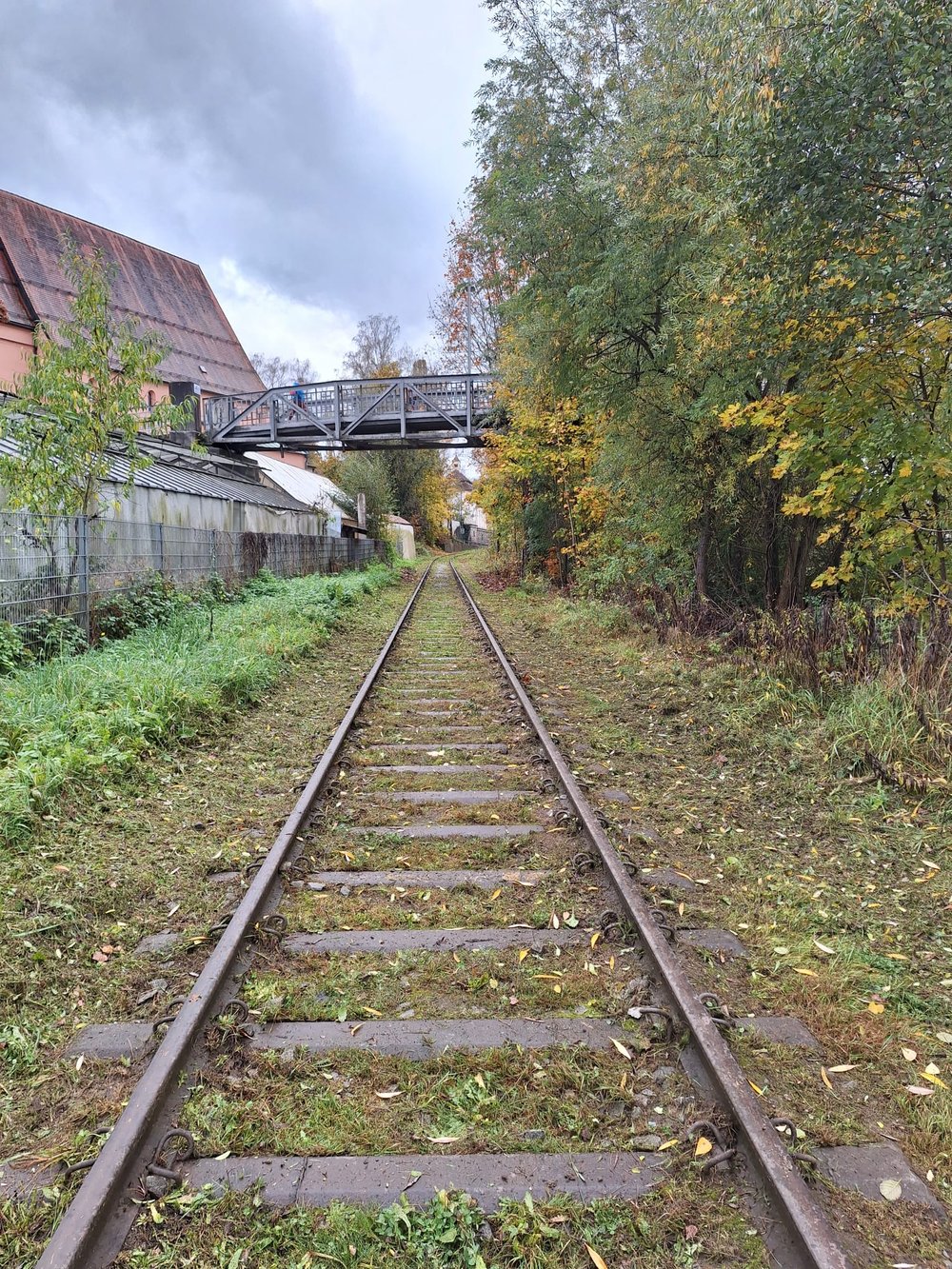 Auch den ganzen Oktober hindurch wurde in mehreren Terminen der Grasschnitt durchgeführt. Das Bild zeigt beispielhaft das Gleis in der Innstadt nach den erfolgreichen Arbeiten.