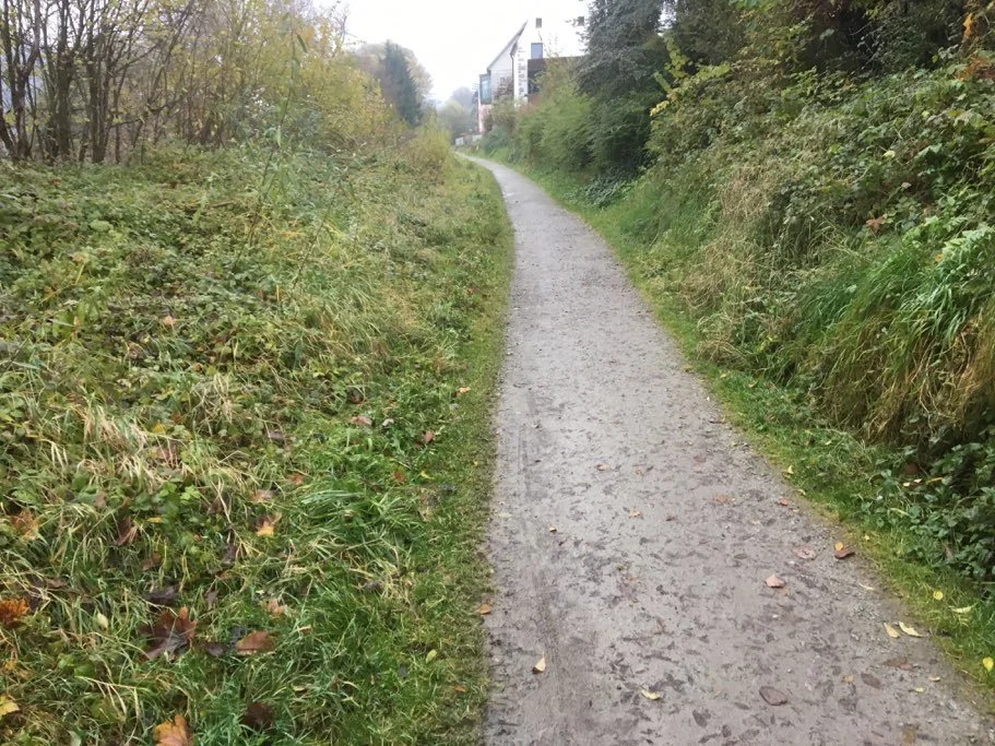 Das Gleis links verwuchert im Oktober 2016 Richtung Rosenau