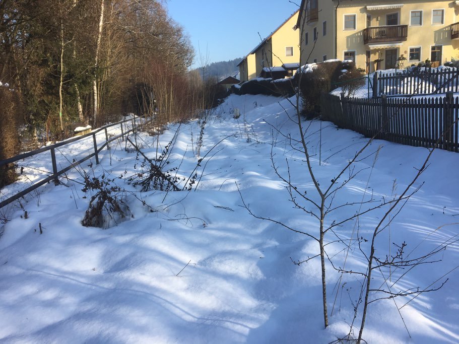 Richtung Brücke Wienerstrasse. Bewuchs auf Gleis