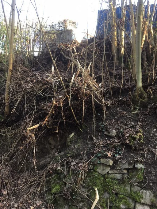 Nette Nachbarn entsorgen ihren Abfall am Gleis