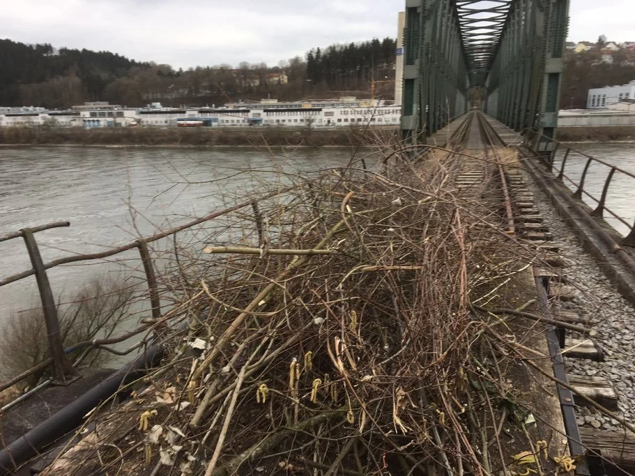 Schnittsitzungen Kräutelsteinbrücke