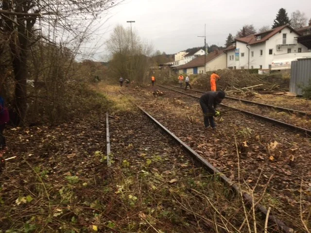 Baumfreier Bahnhof Rosenau