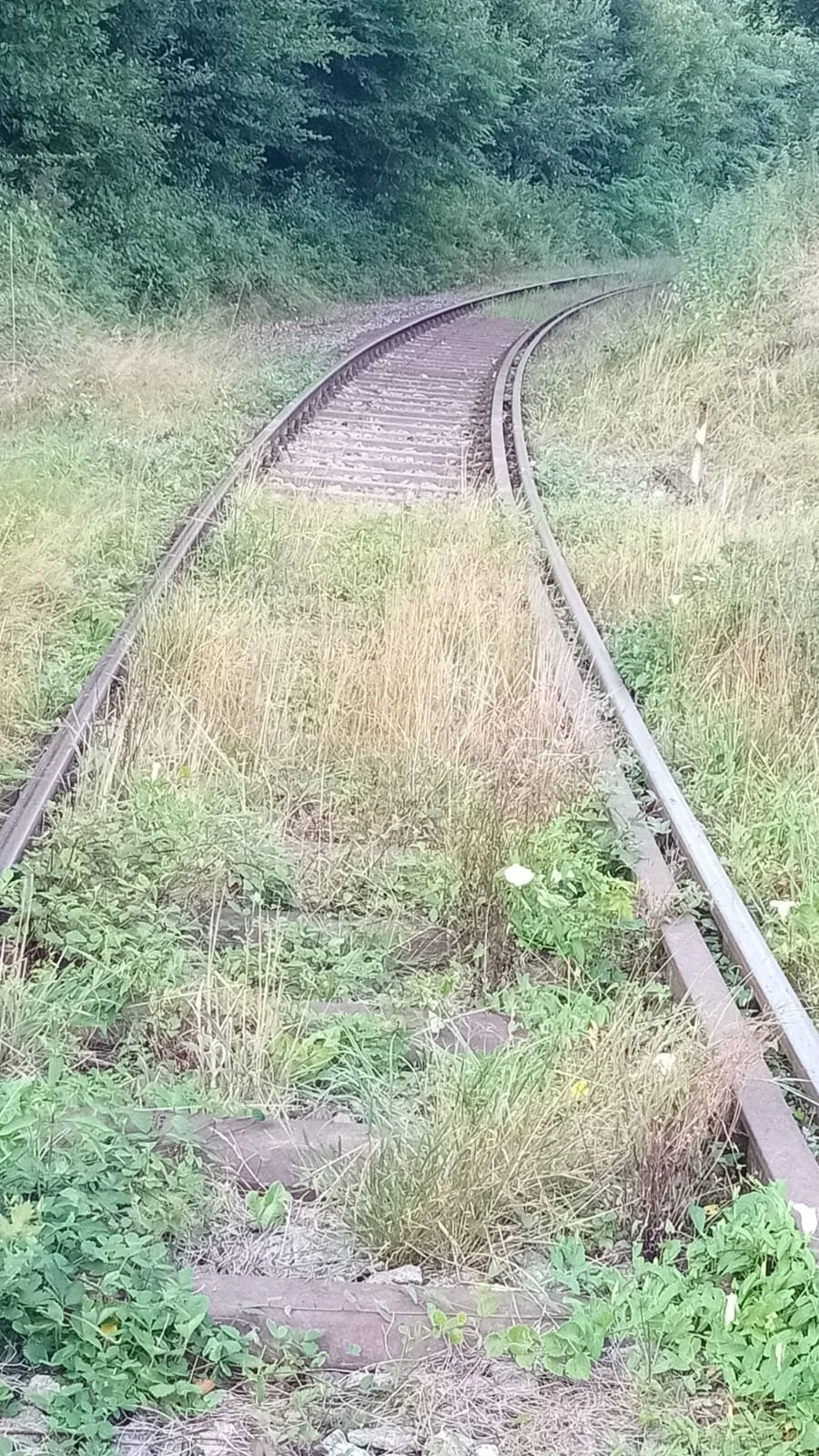 SAVE_20260814_240356.jpg