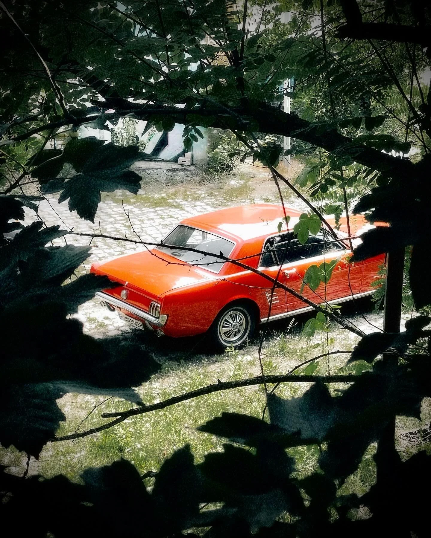 Gorgeous hidden gem in the wild 🍃🏎️ #ClassicBeauty #MustangMoments @fordmustang @ford @fordperformance @forddeutschland @fordmustangclub_ @ford_mustang_oldtimer_official #ford #fordmustang #fordmustangs #fordmustang1965 #fordmustangclub_ #fordmusta