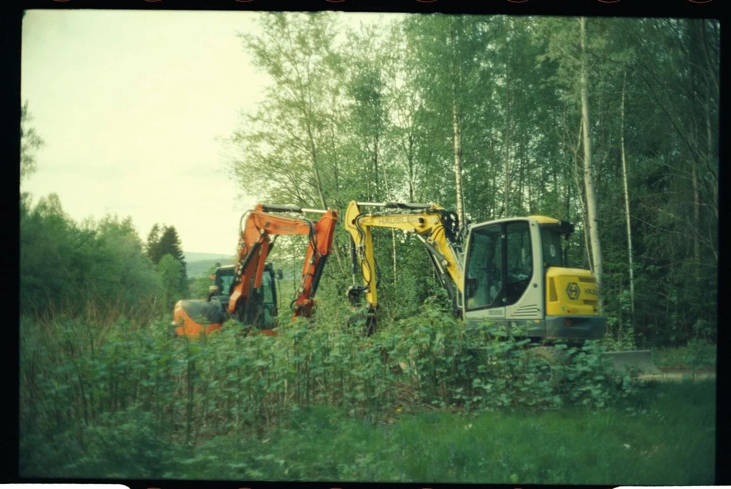 Zwei verliebte Bagger kurz vor der Paarung. Daher die Redewendung &bdquo;jemanden anbaggern&ldquo; #infreierwildbahn #balzverhalten