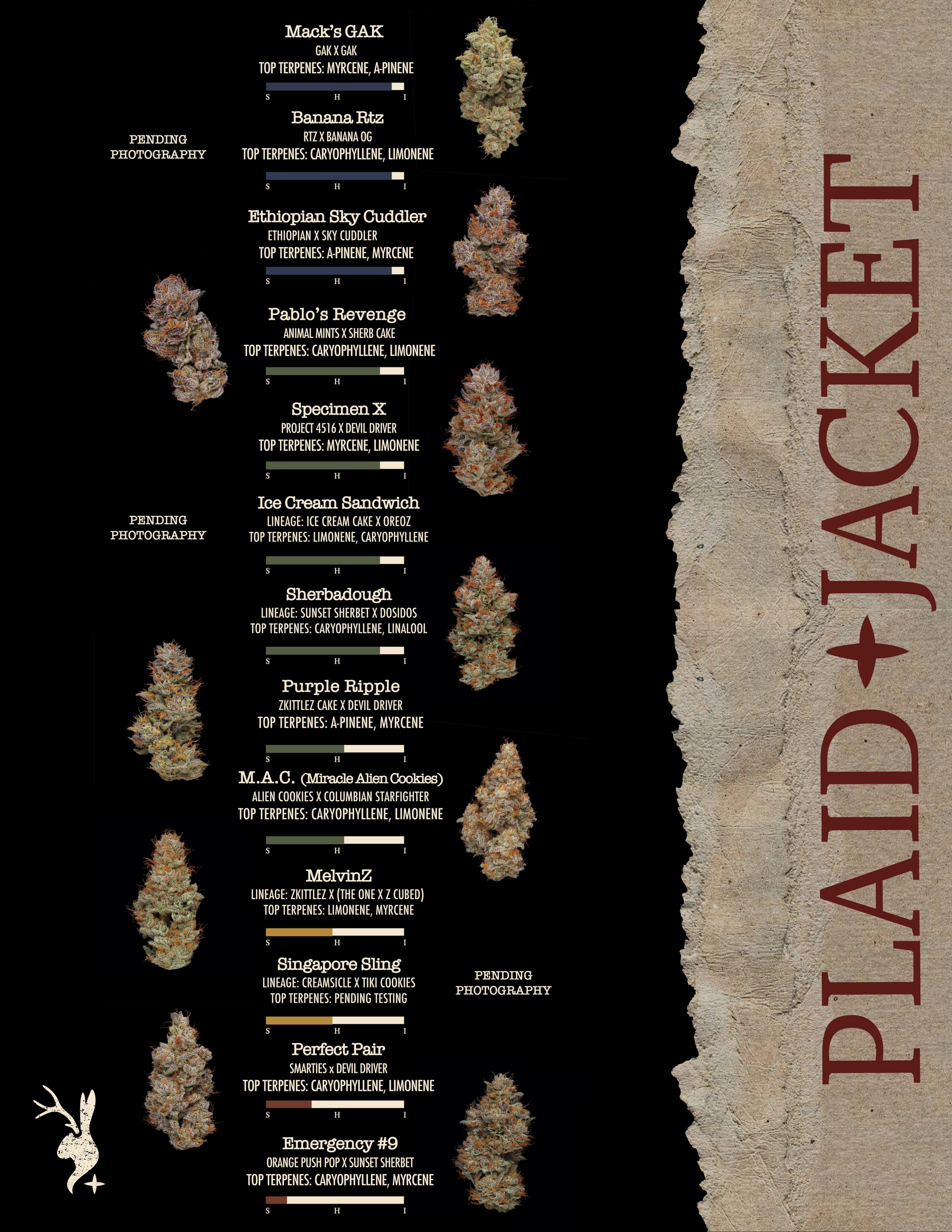 SPARK CATALOG NO PRICES_6.9.23_STRAINS.jpg