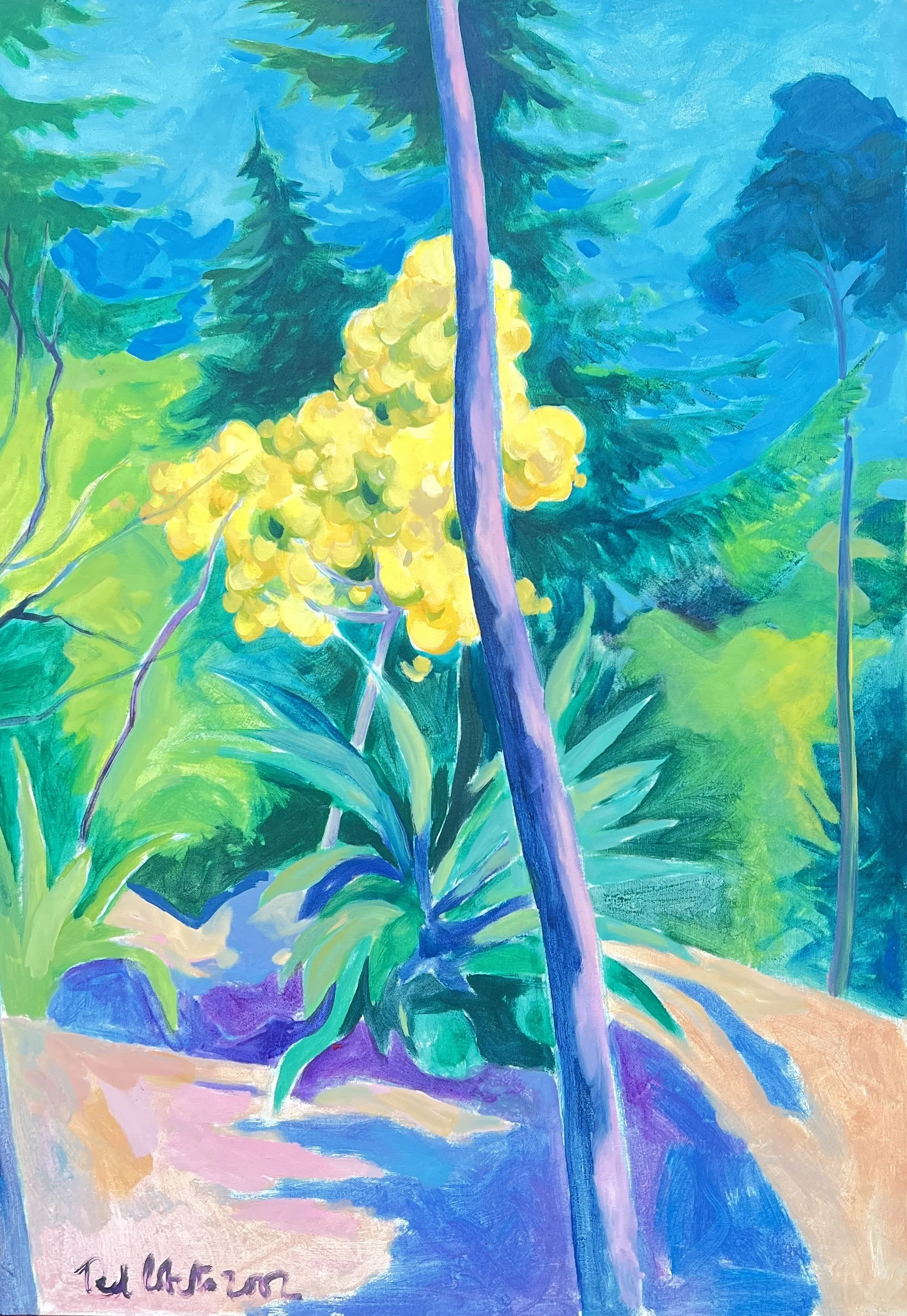 Mimosa. 2002. Acrylic on canvas. 91cm x 65cm. £725. Ref: 1375